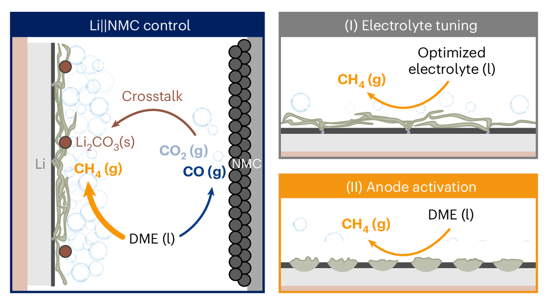 Photograph accompanying Nature paper pins each gas in lithium-metal cells to an electrode, then buys 10x cycles for free