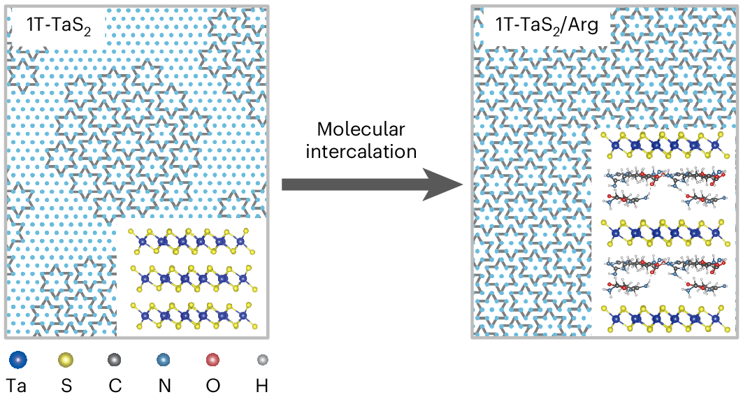 Photograph accompanying Arginine intercalated into 1T-TaS2 holds its commensurate charge-density wave to 330 K