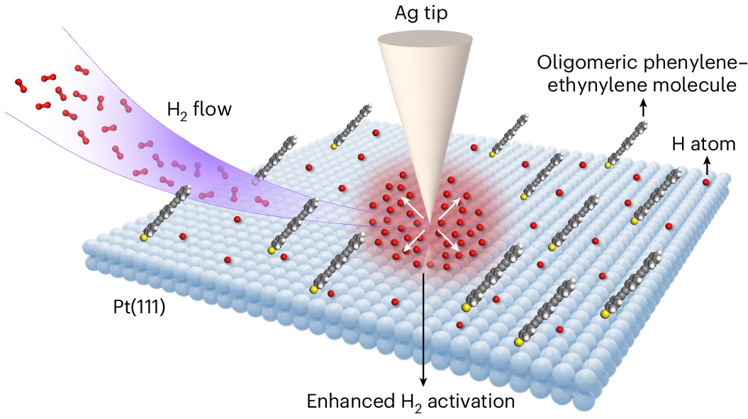 Photograph accompanying Activated hydrogen travels hundreds of nanometres beyond the plasmonic hot spot that made it