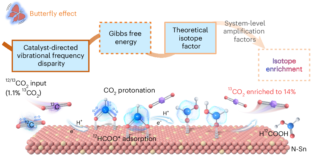 Photograph accompanying Nitrogen-doped tin catalysts lift carbon-13 in CO2 electrolysis from 1.1% to over 14%