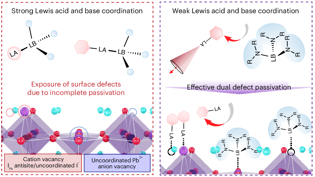 Photograph accompanying Two passivators too bulky to react with each other clear both perovskite defect signs