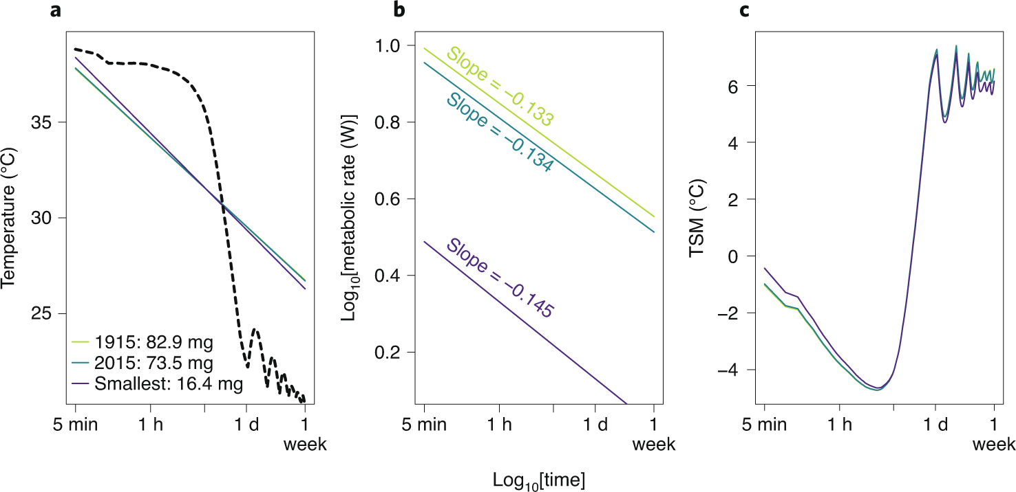 Body temperature is a more important modulator of lifespan than metabolic  rate in two small mammals