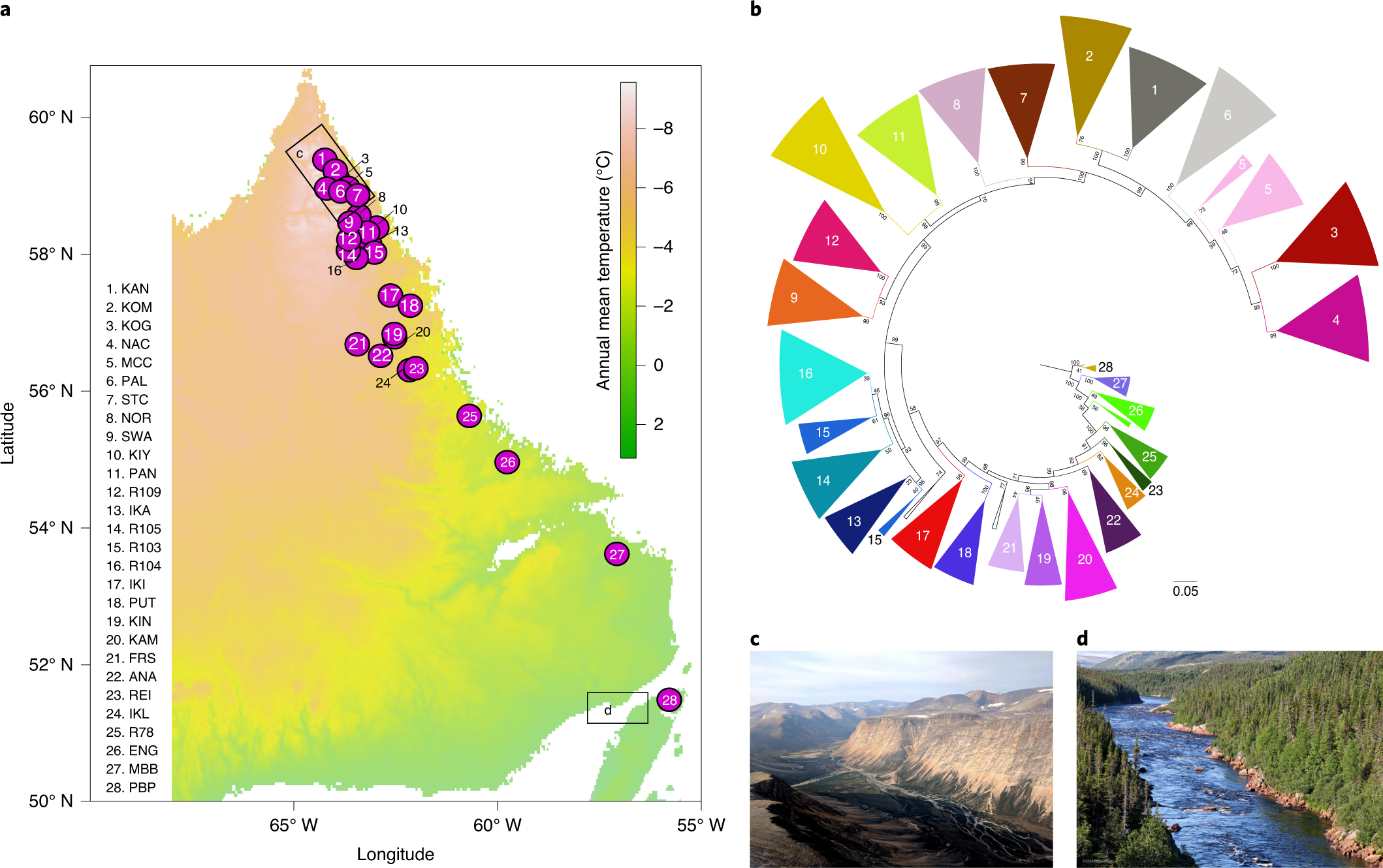 Genomic evidence of past and future climate-linked loss in a migratory  Arctic fish | Nature Climate Change