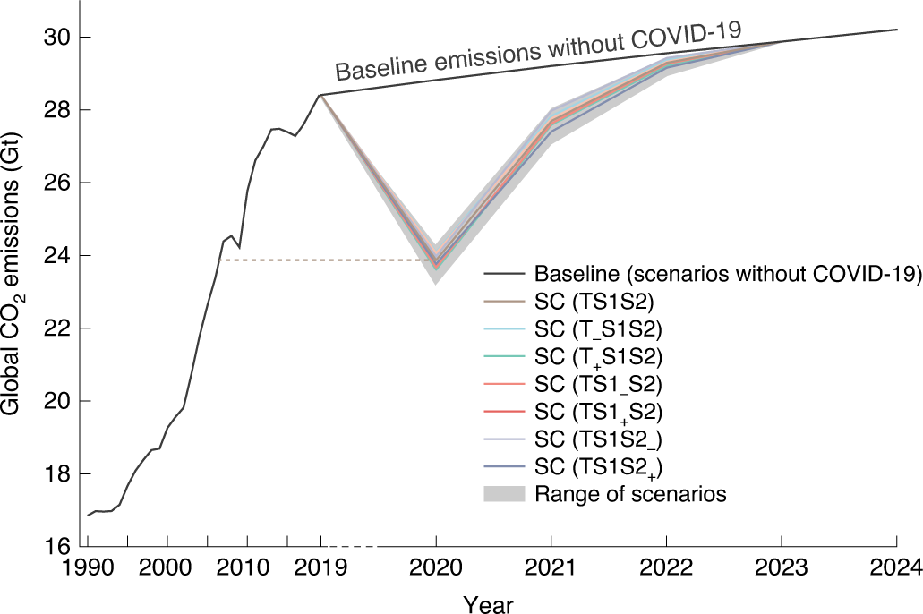 Understanding COVID-19 in Brazil: Socioeconomic Impacts, Statistical  Analysis and Future Challenges