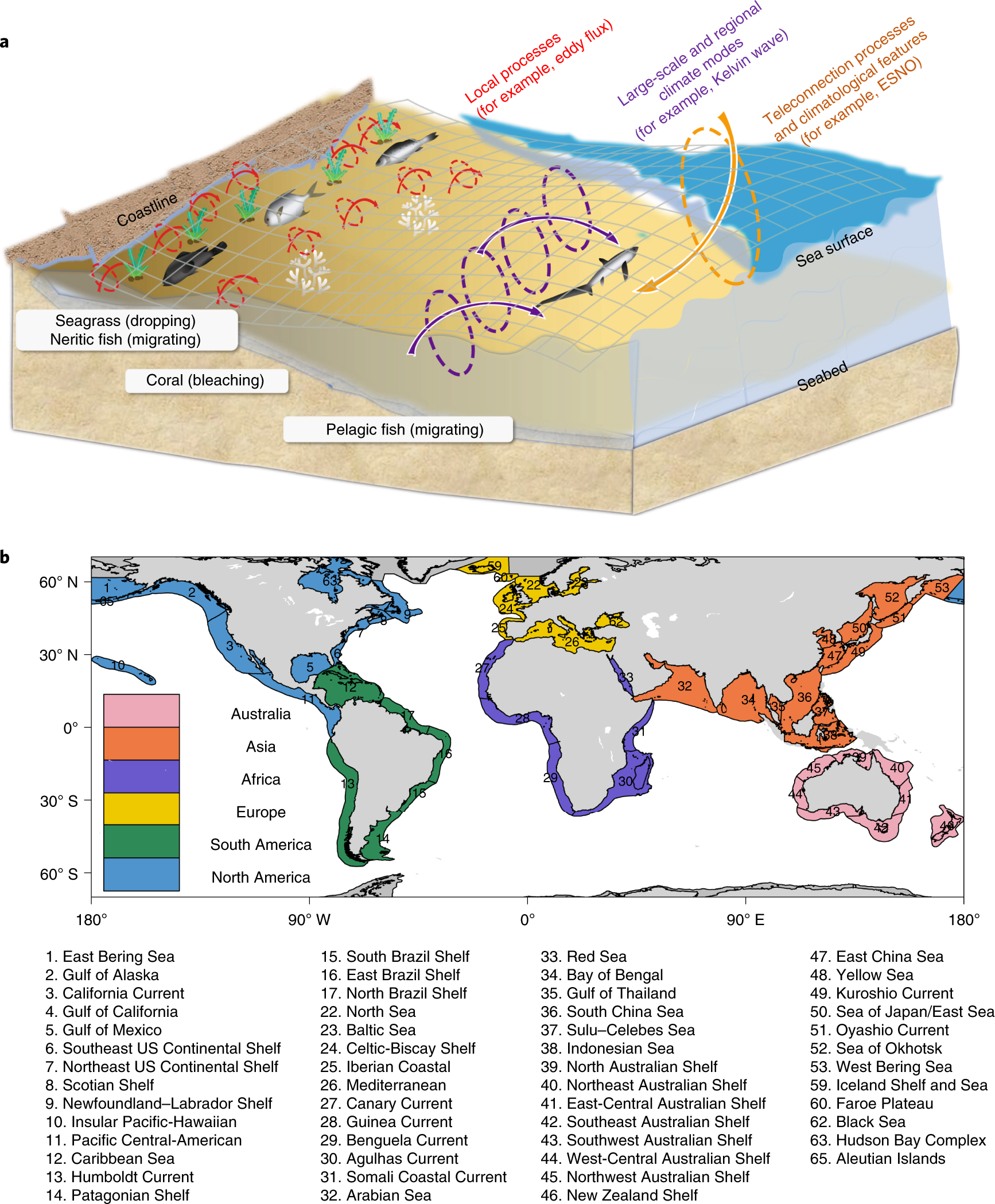 Threat by marine heatwaves to adaptive large marine ecosystems in an  eddy-resolving model | Nature Climate Change