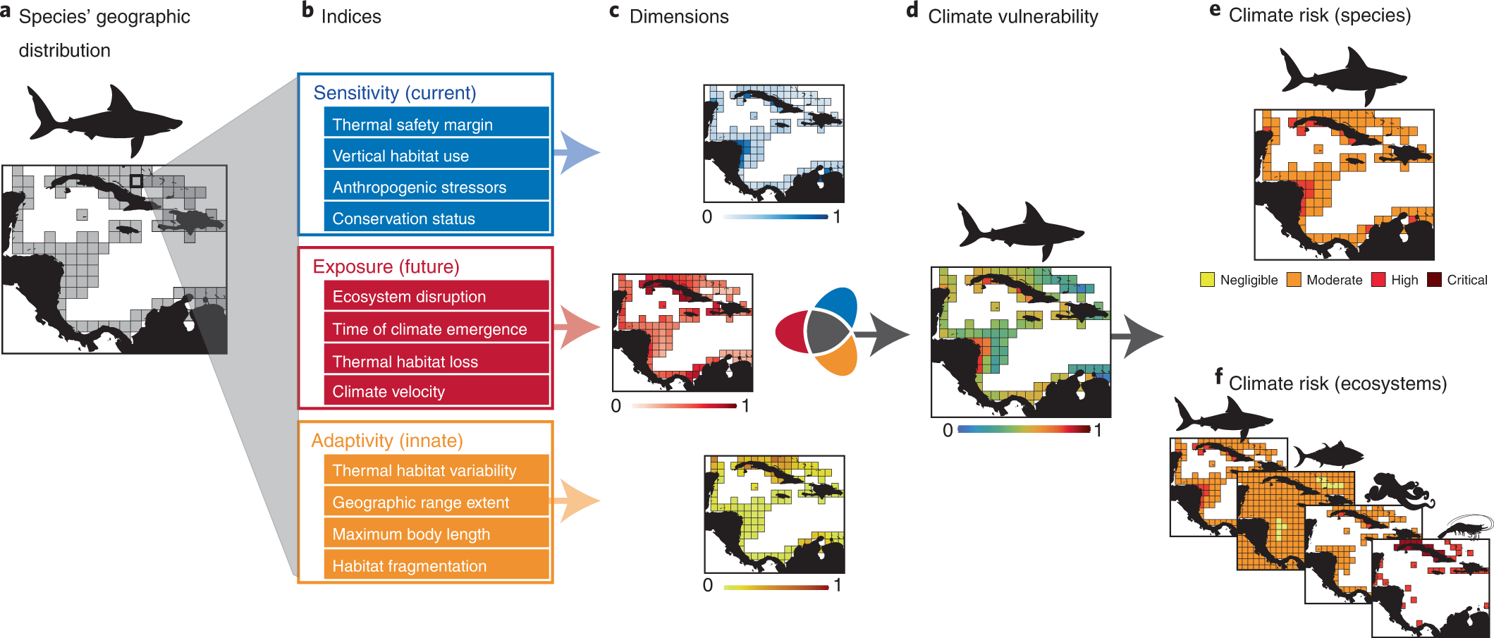 Frontiers  Future Risk for Southern Ocean Ecosystem Services Under Climate  Change