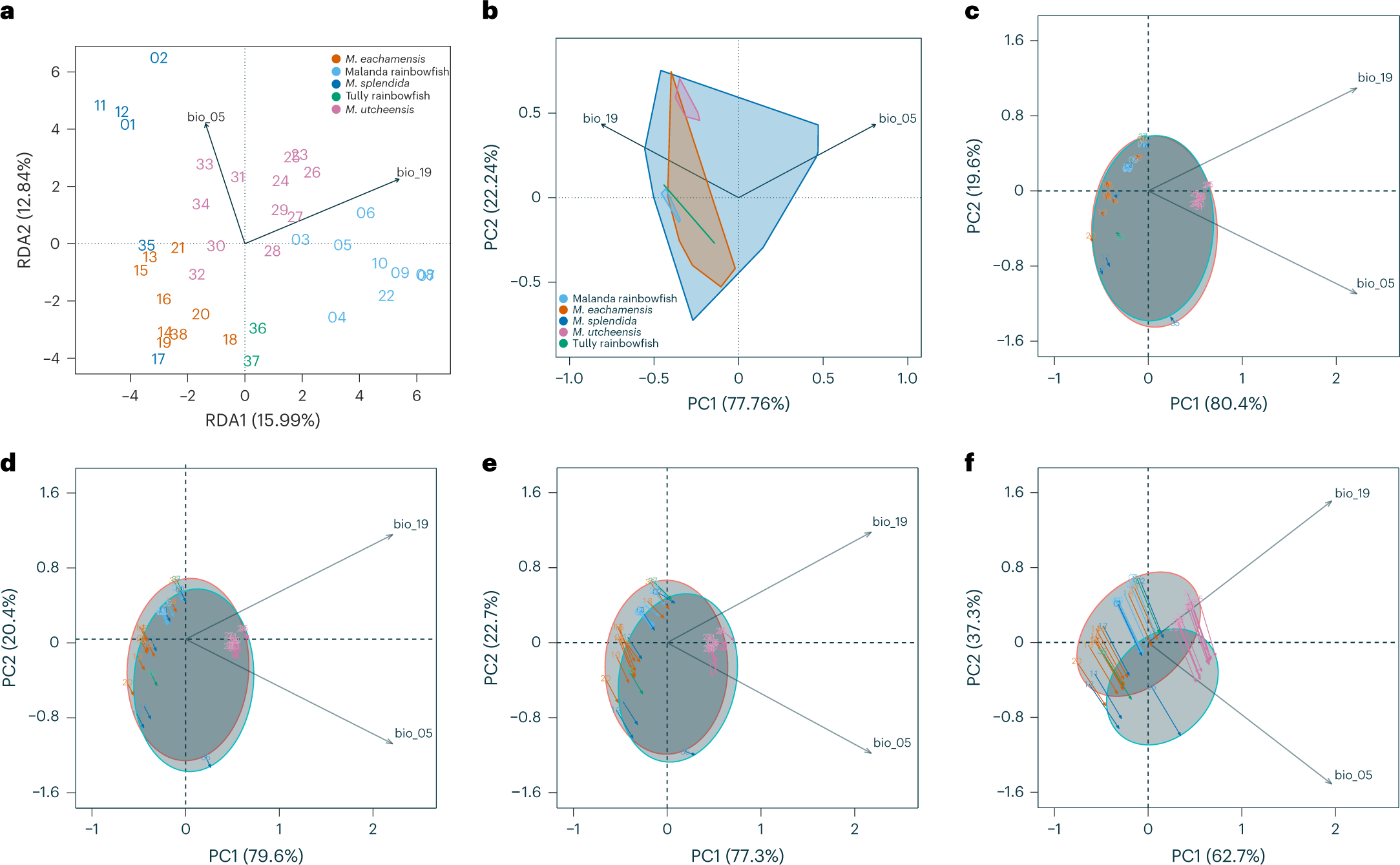 Fig. 3: Genotype–environment association and principal component analyses (PCA) reveal potentially adaptive genomic variation, the relative size and position of the current climatic niche for each species and modelled changes in climate between the early Holocene and 2070 at each sampling site.