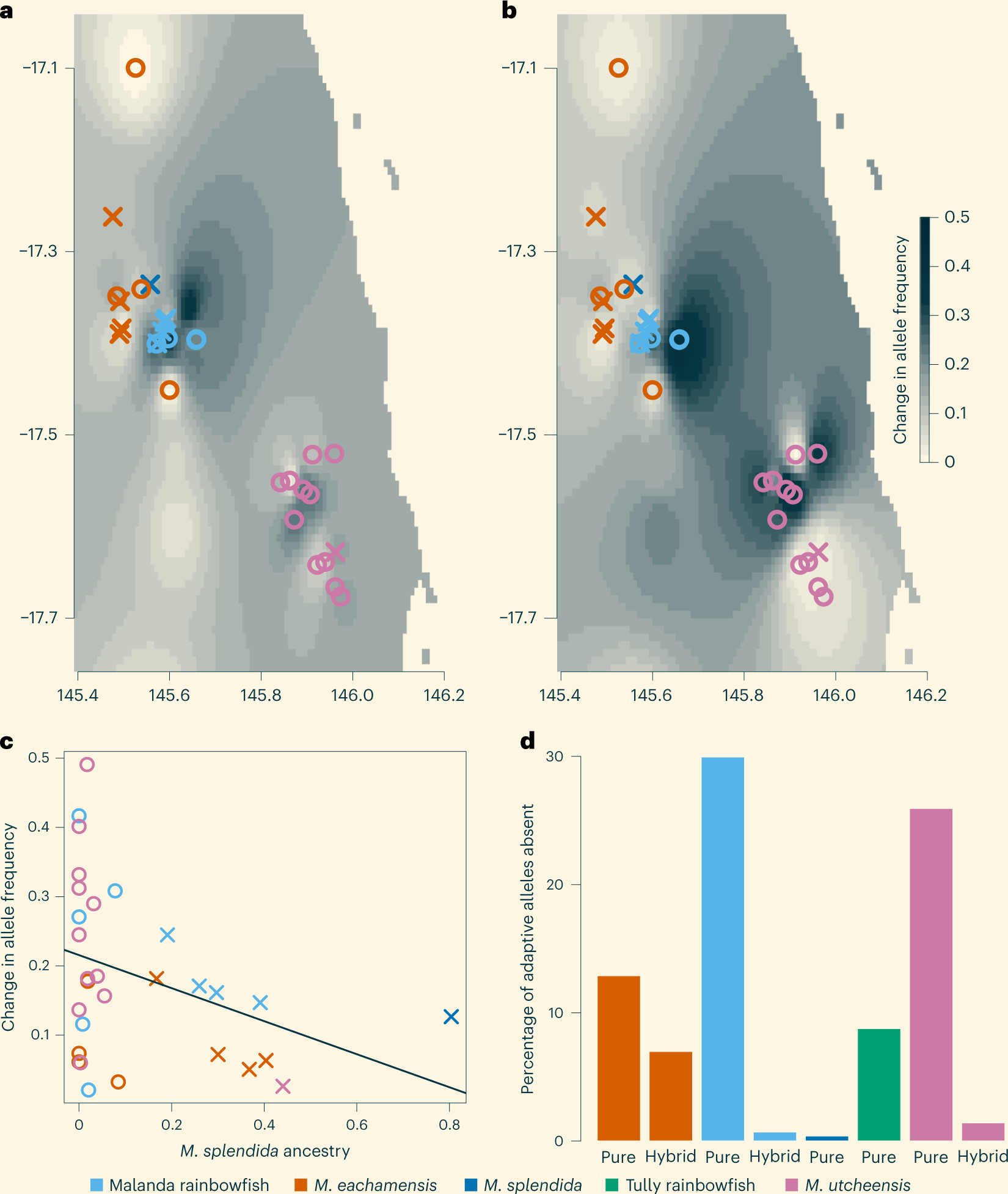 Fig. 4: Genomic vulnerability is reduced for hybrid populations of rainbowfish.