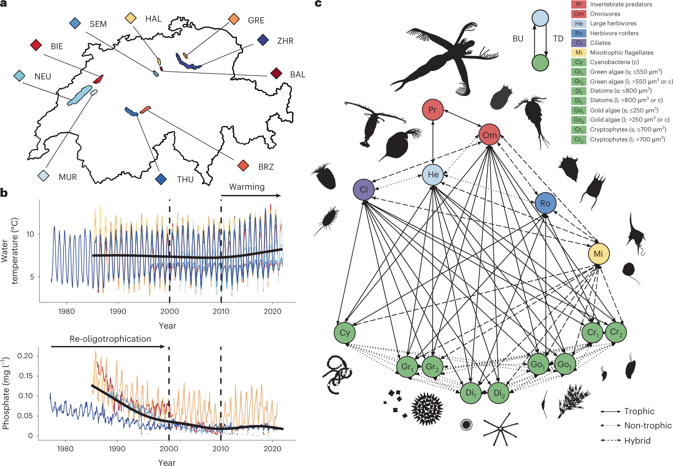 Disruption of ecological networks in lakes by climate change and