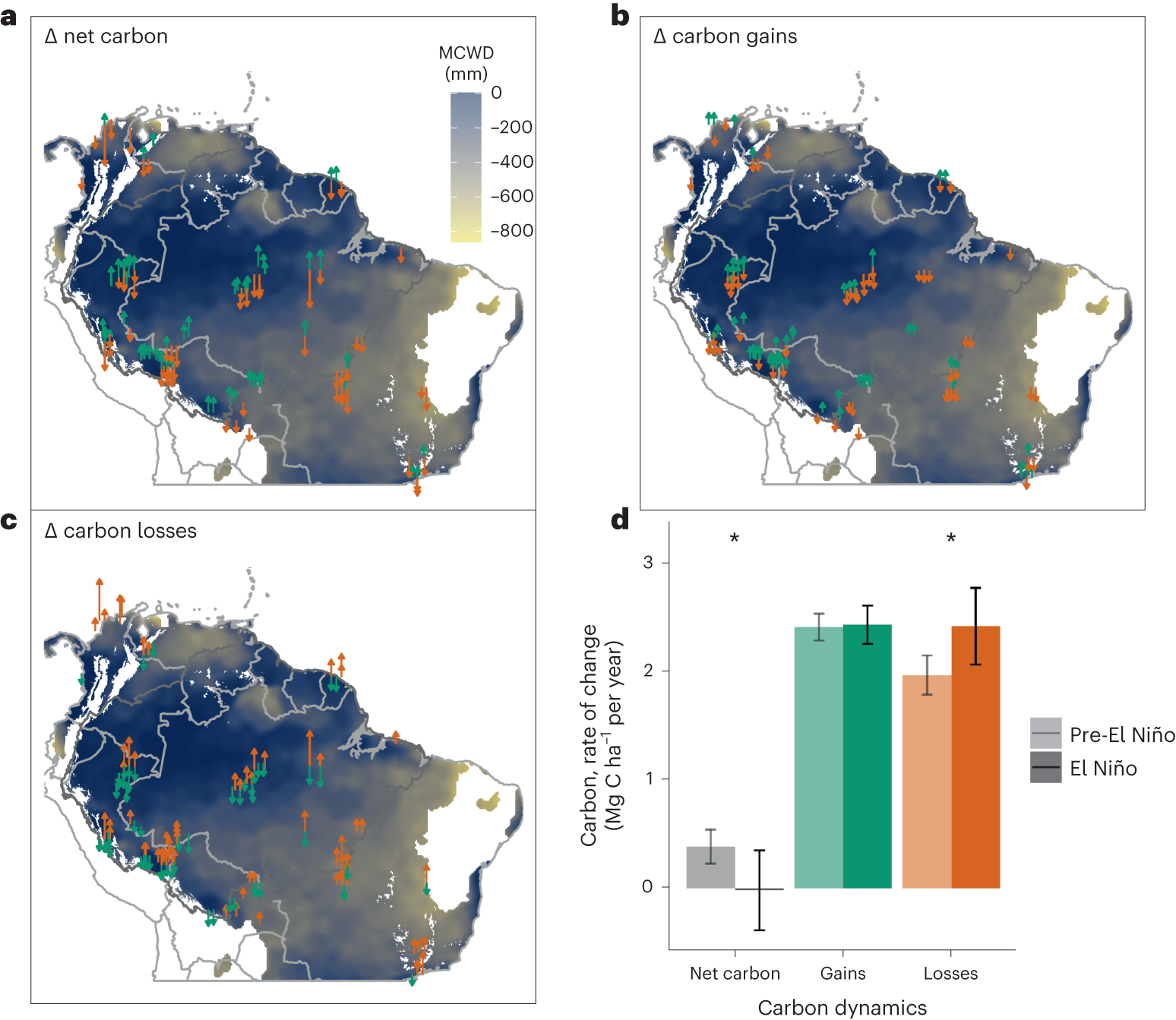 Sensitivity of South American tropical forests to an extreme