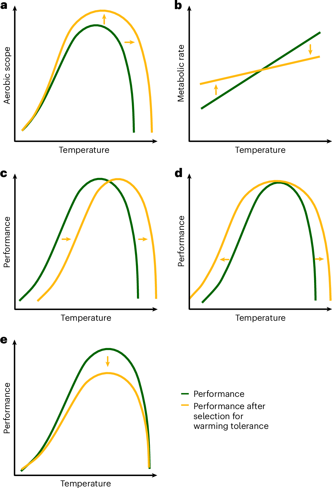 Fig. 1: Different mechanisms may be responsible for the evolution of warming tolerance.