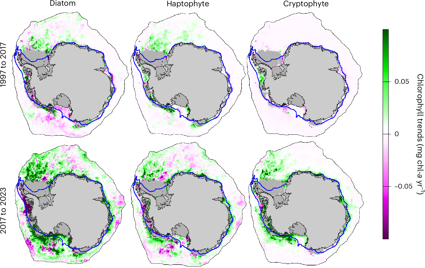Fig. 3: Temporally split geographical trends for the chl-a of diatoms, haptophytes and cryptophytes.