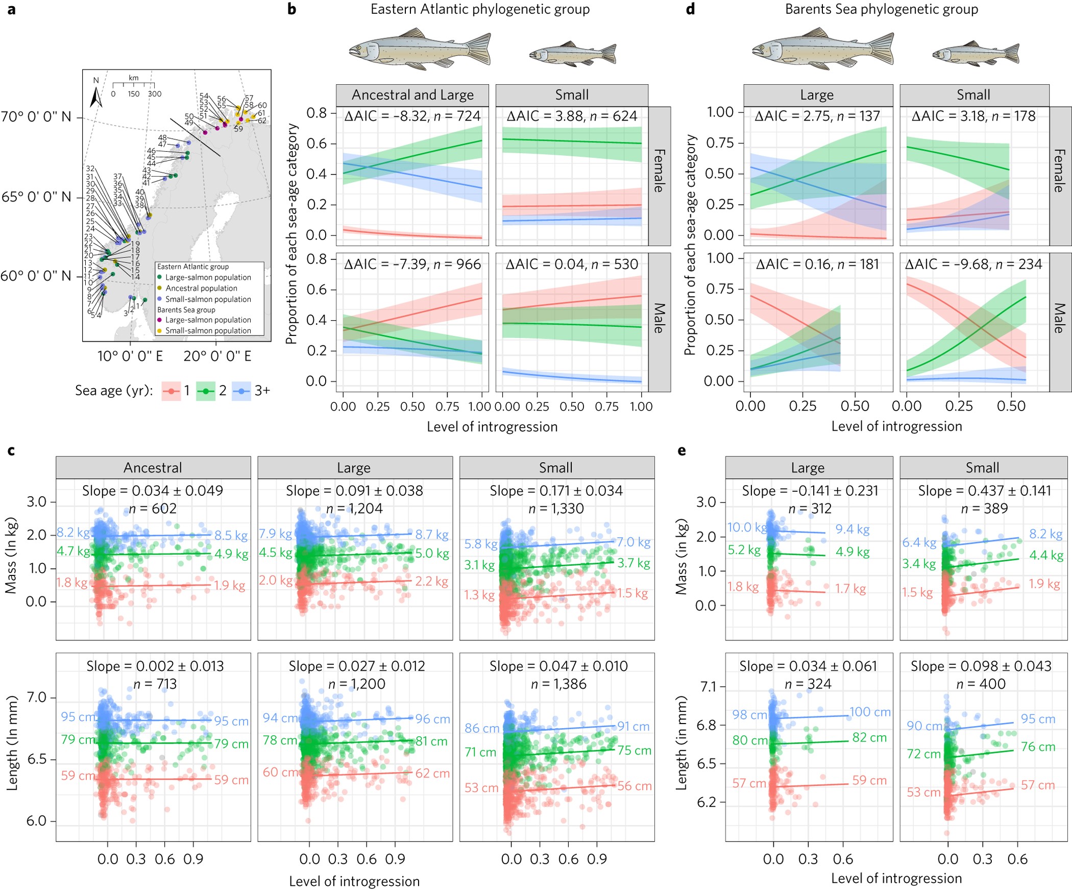 Gene flow from domesticated escapes alters the life history of wild Atlantic salmon | Nature Ecology Evolution