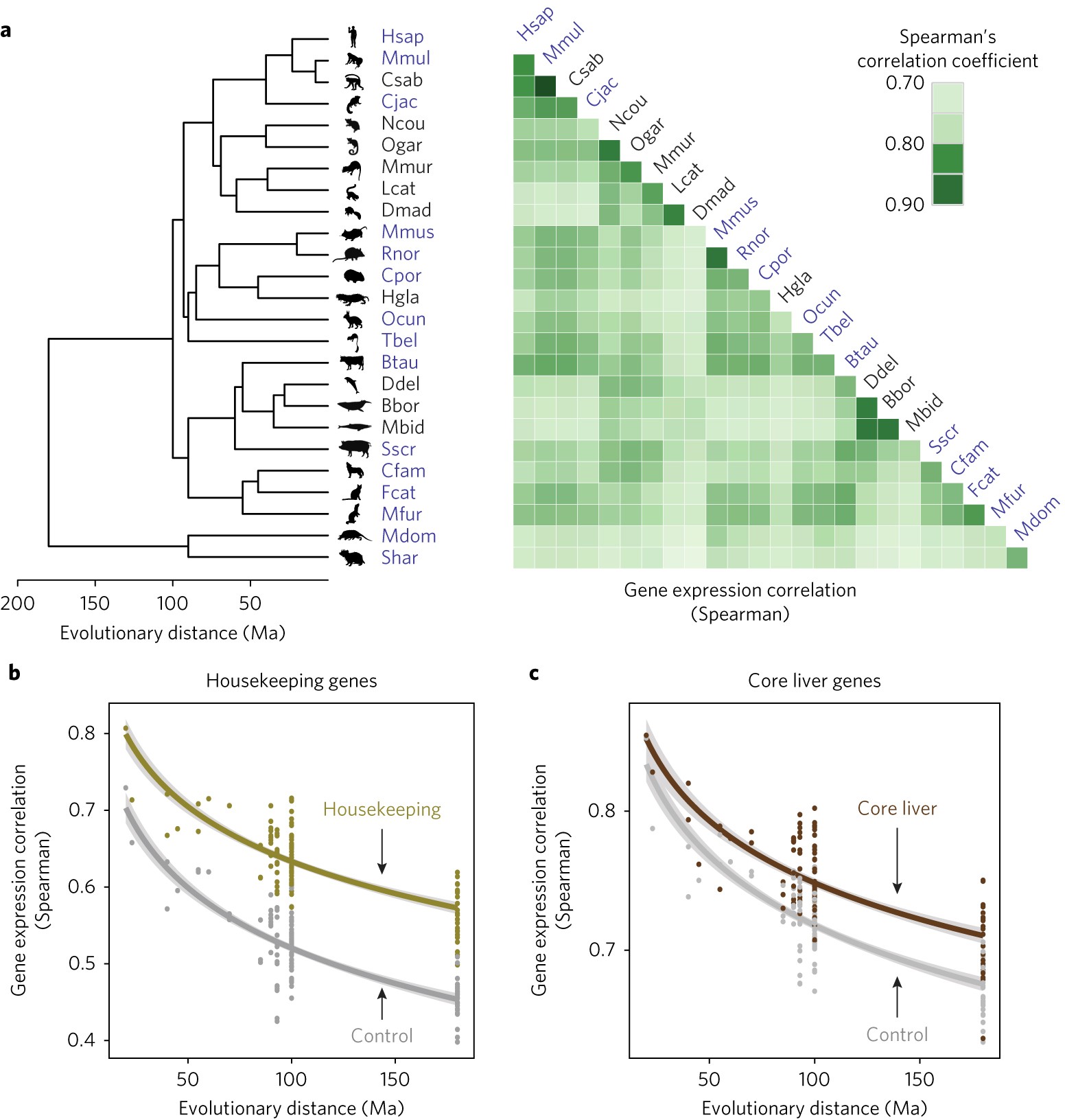 Gene Expression Patterns May Underlie >> Complexity And Conservation Of Regulatory Landscapes Underlie Gene Expression Patterns May Underlie >> Complexity And Conservation Of Regulatory Landscapes Underlie