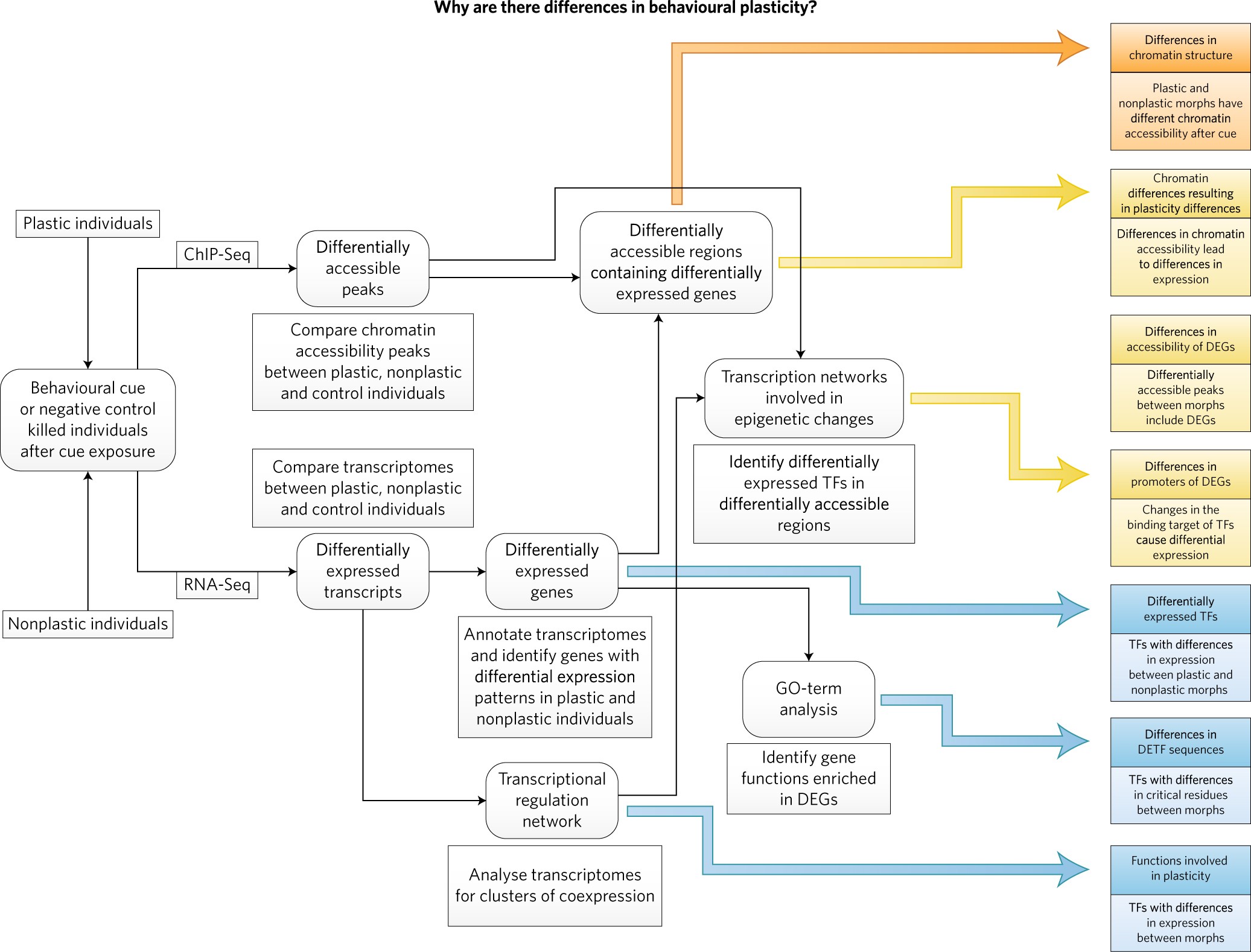 Genomic Tools For Behavioural Ecologists To Understand - 