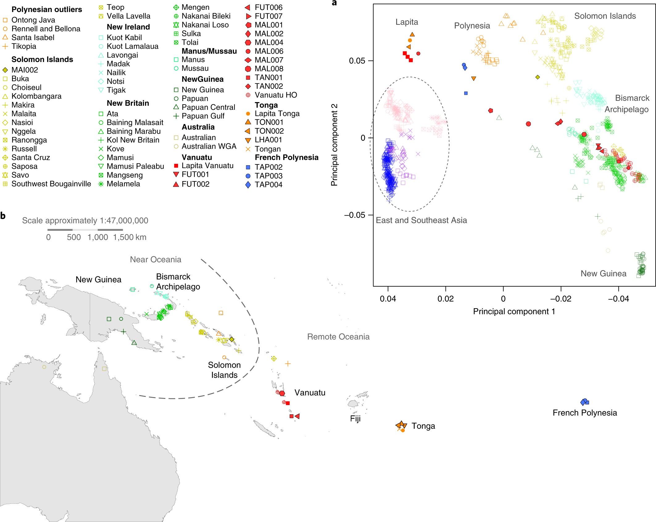 Language continuity despite population replacement in Remote Oceania Nature Ecology and Evolution photo