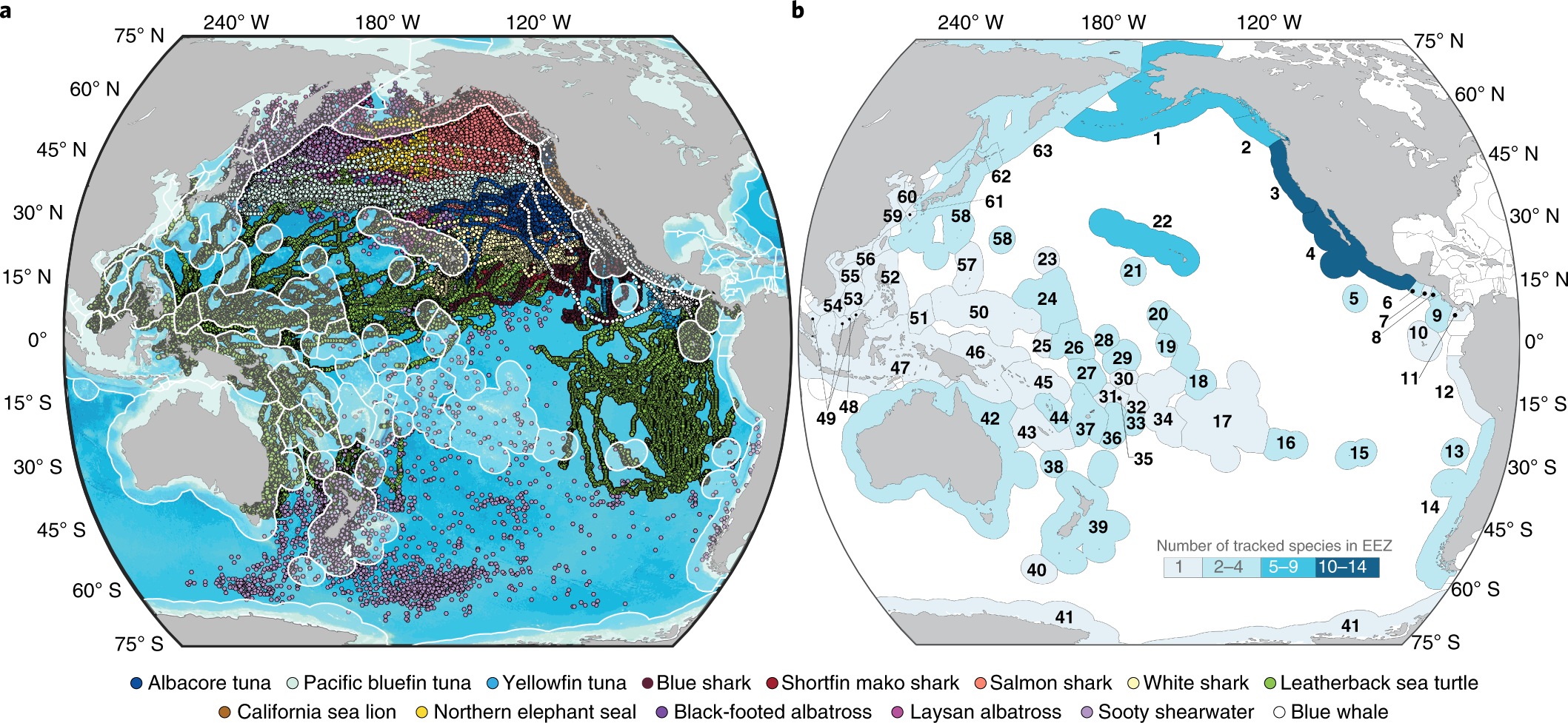 The country across the ocean контрольная. Economic Zones Pacific. EEZ. North Pacific Marine Science Organization. Kinetics Rhino Seal Shark.