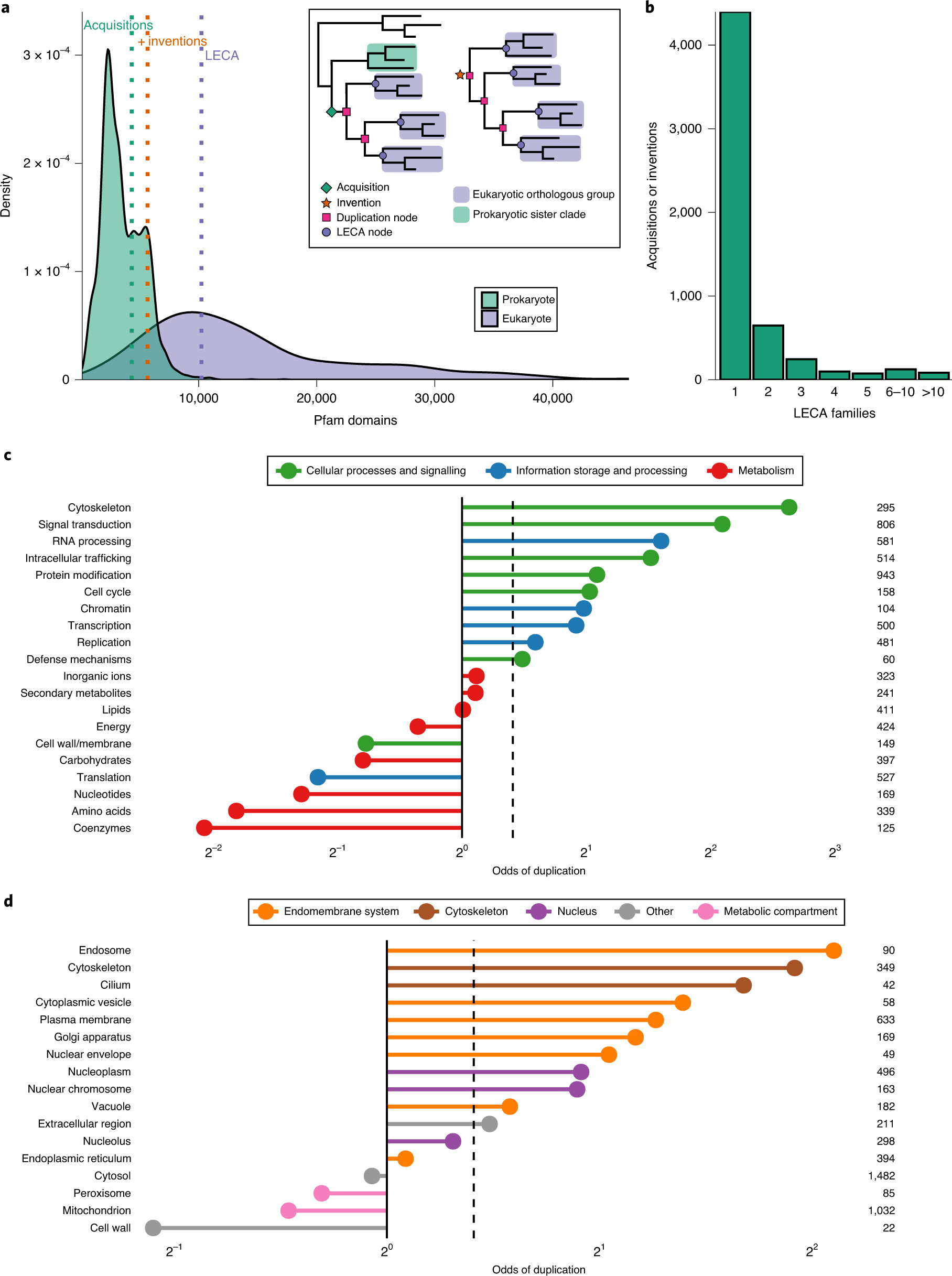 Timing the origin of eukaryotic cellular complexity with ancient  duplications | Nature Ecology & Evolution