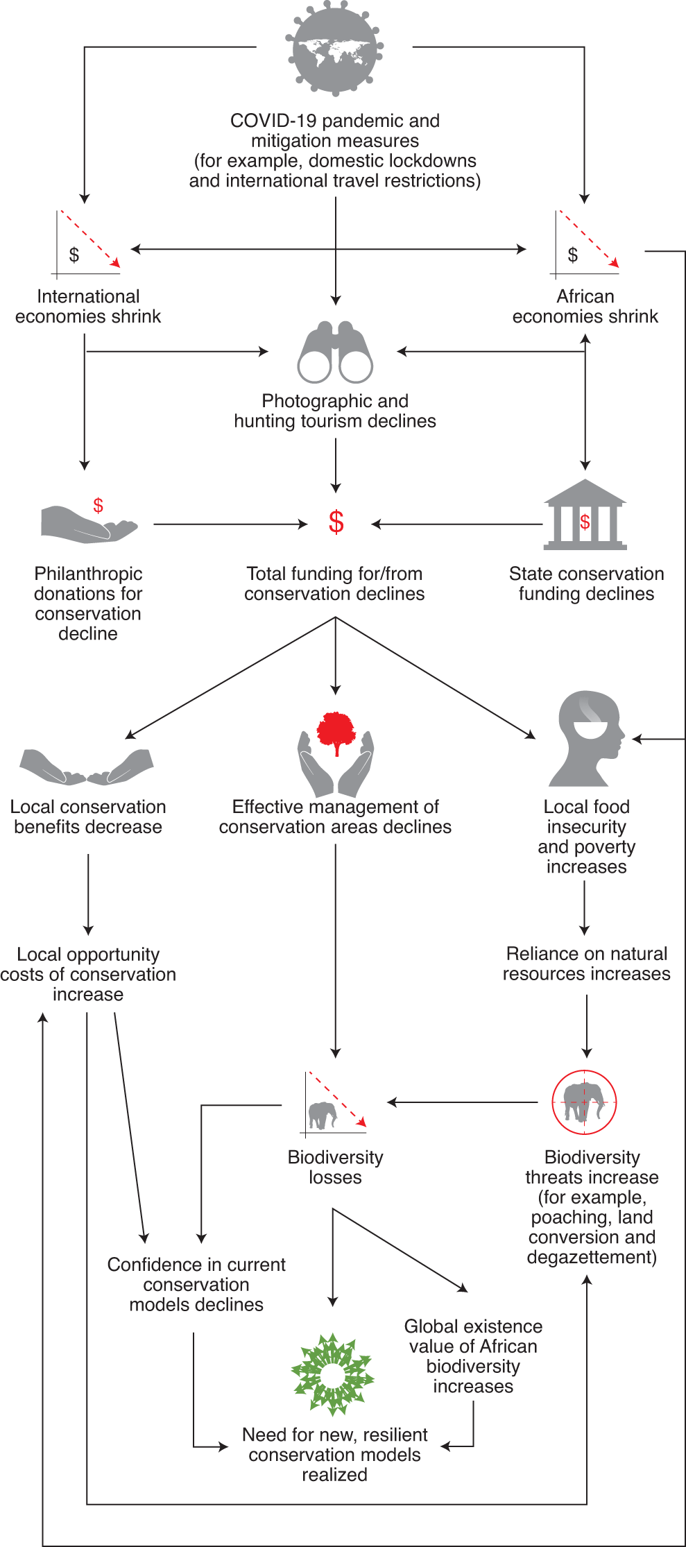 A Pangolin Associates case study: RM Williams