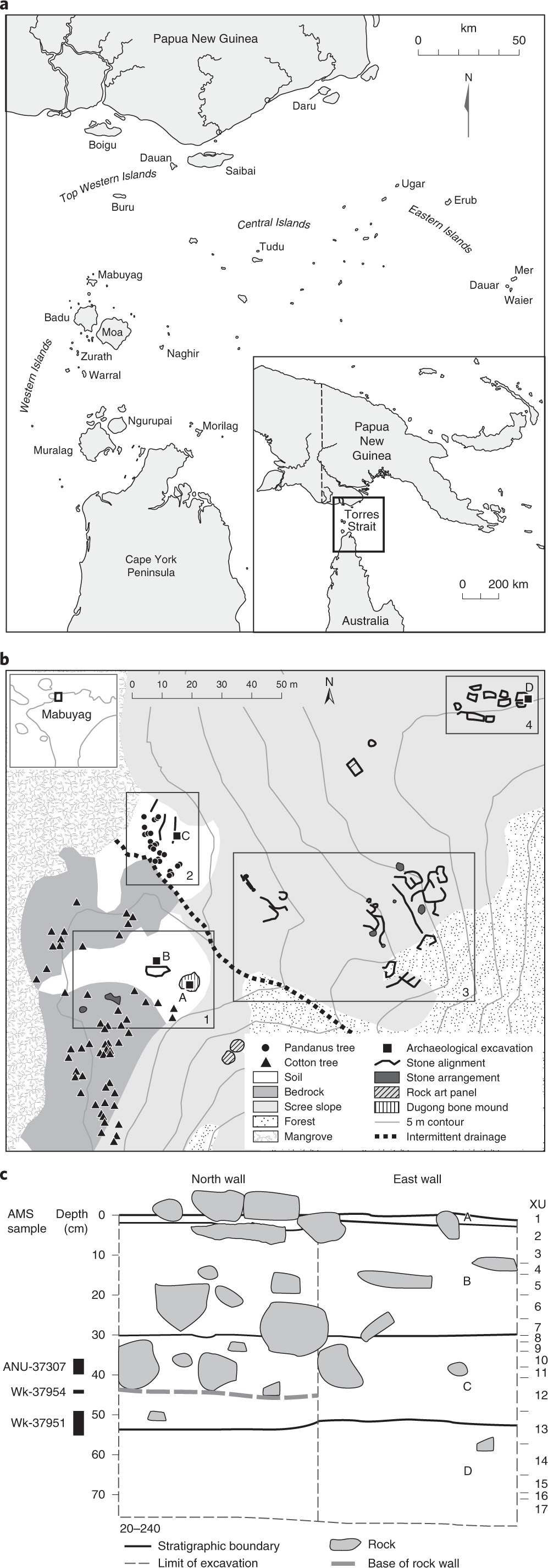 Multidisciplinary evidence for early banana (Musa cvs.) cultivation on  Mabuyag Island, Torres Strait | Nature Ecology & Evolution