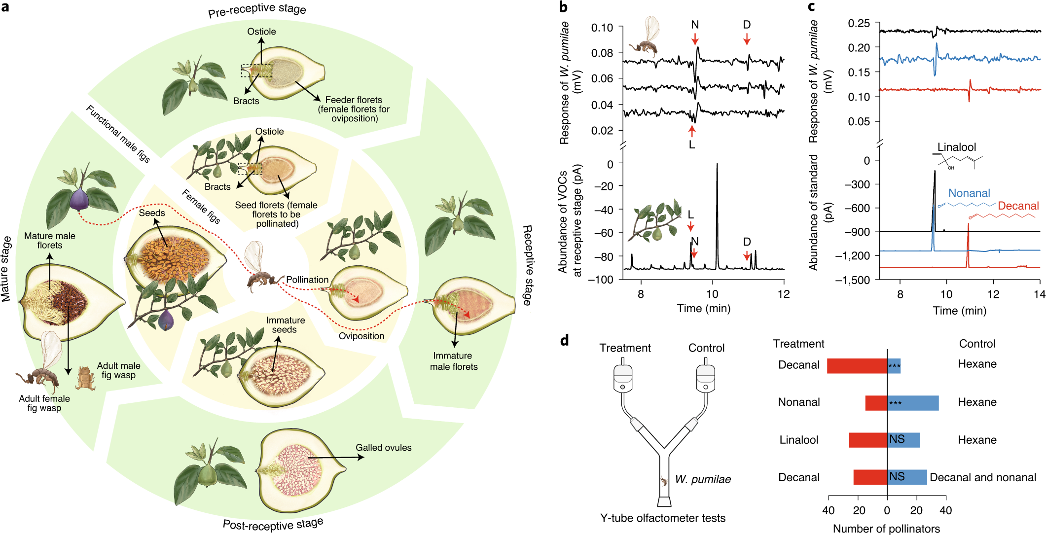 Molecular mechanisms of mutualistic and antagonistic interactions in a  plant–pollinator association | Nature Ecology & Evolution