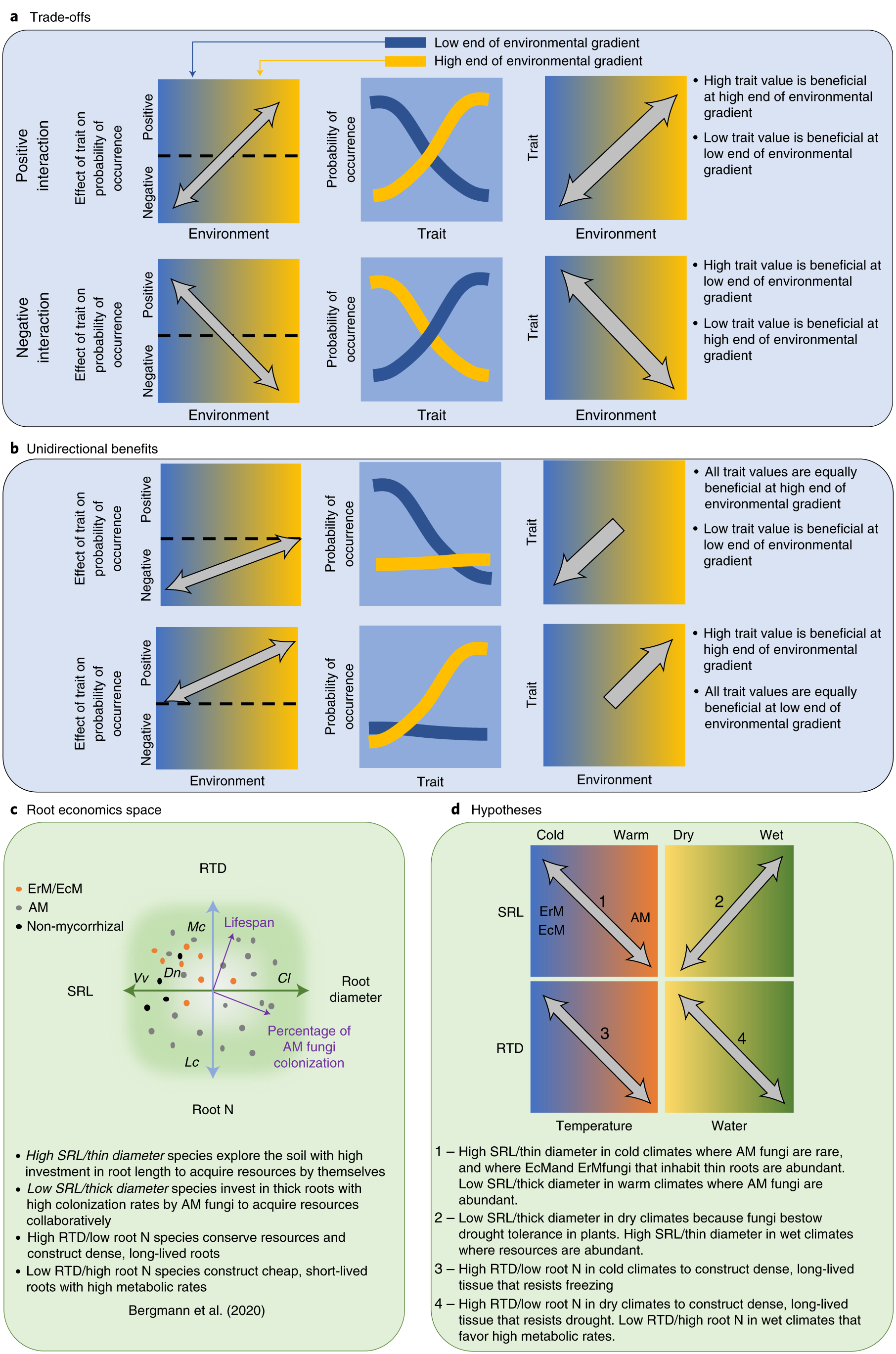 Root traits explain plant species distributions along climatic gradients  yet challenge the nature of ecological trade-offs | Nature Ecology &  Evolution