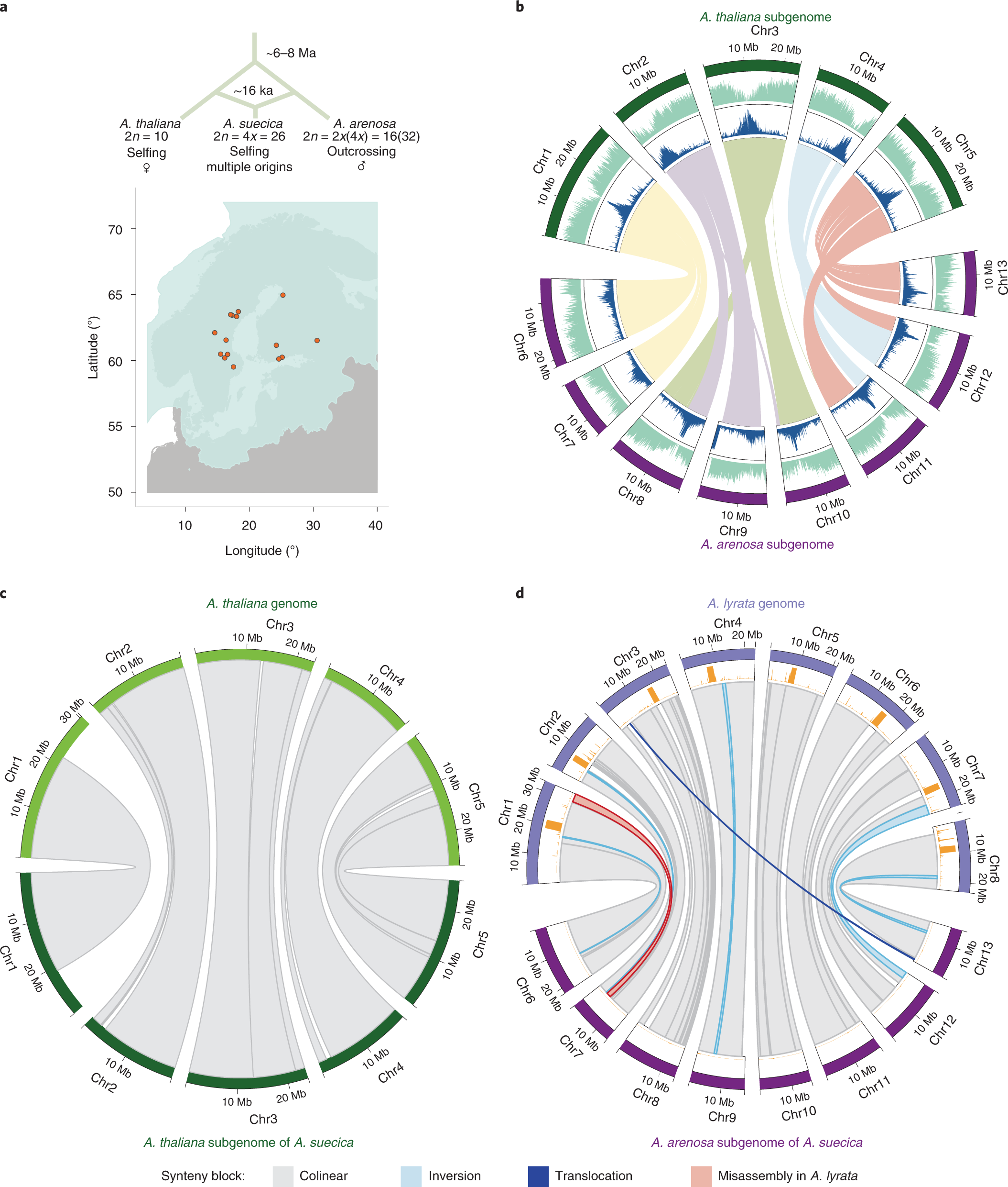 Gradual Evolution Of Allopolyploidy In Arabidopsis Suecica Nature Ecology Evolution
