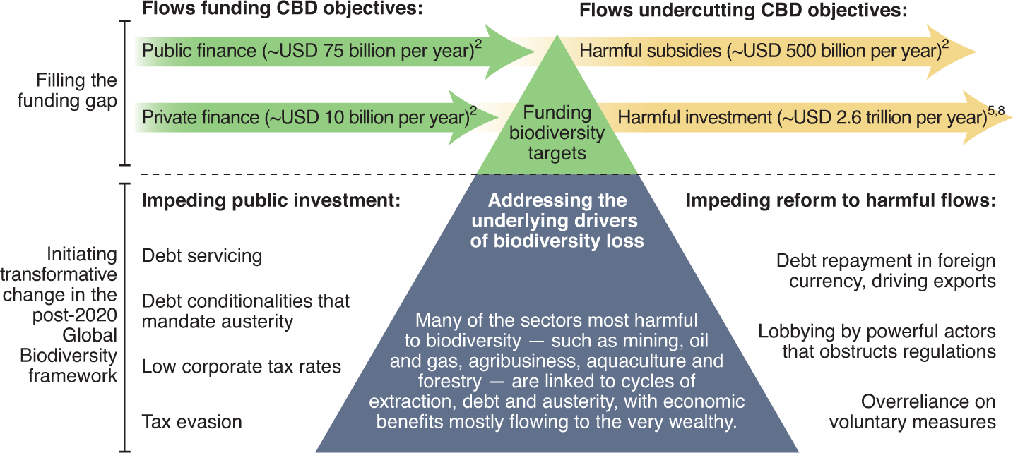 Sustainability, Tackling Climate Change and Biodiversity