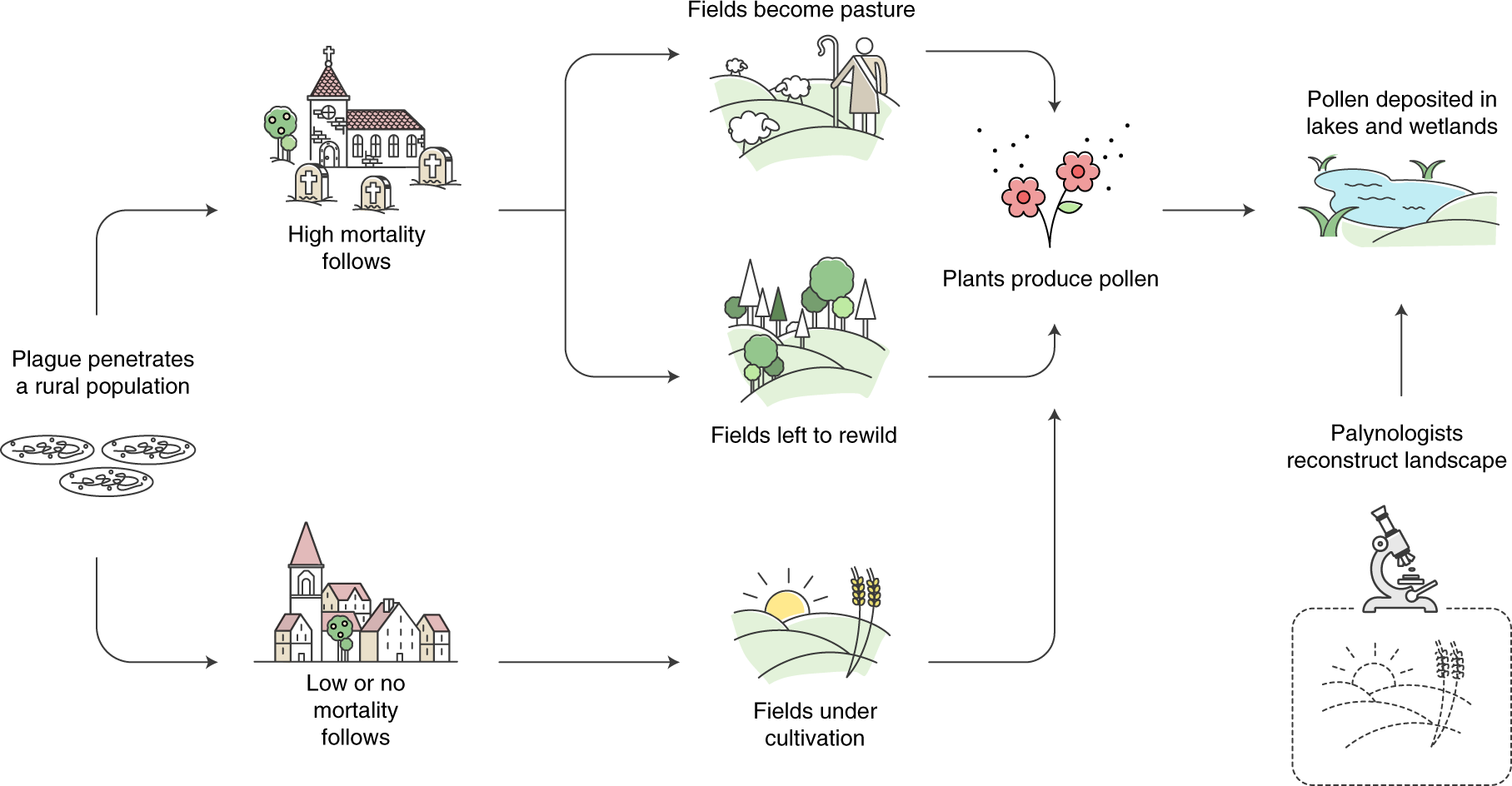 Palaeoecological Data Indicates Land Use Changes Across Europe Linked To Spatial Heterogeneity In Mortality During The Black Death Pandemic Nature Ecology Evolution