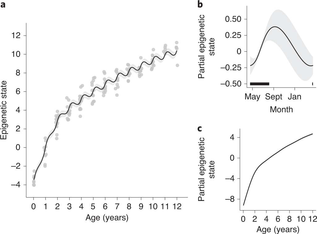 Fig. 2: Visualization of the GAMM with epigenetic states generated from the EPM model using CpG sites highly correlated to chronological age (absolute r > 0.7).