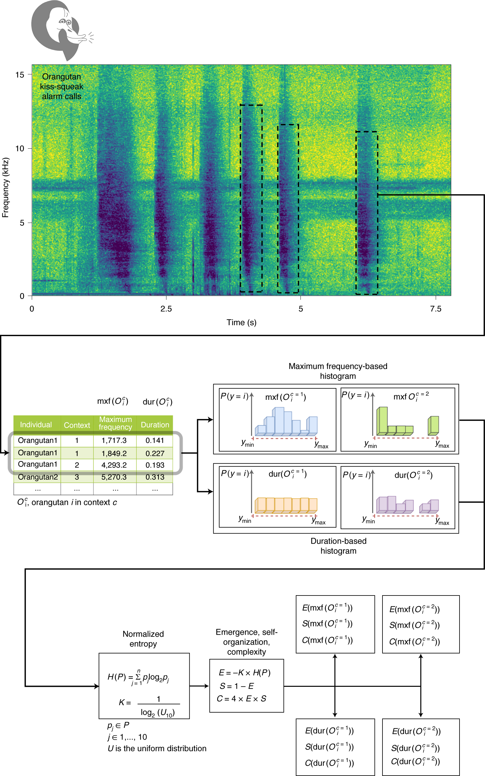 Sociality Predicts Orangutan Vocal Phenotype Nature Ecology Evolution