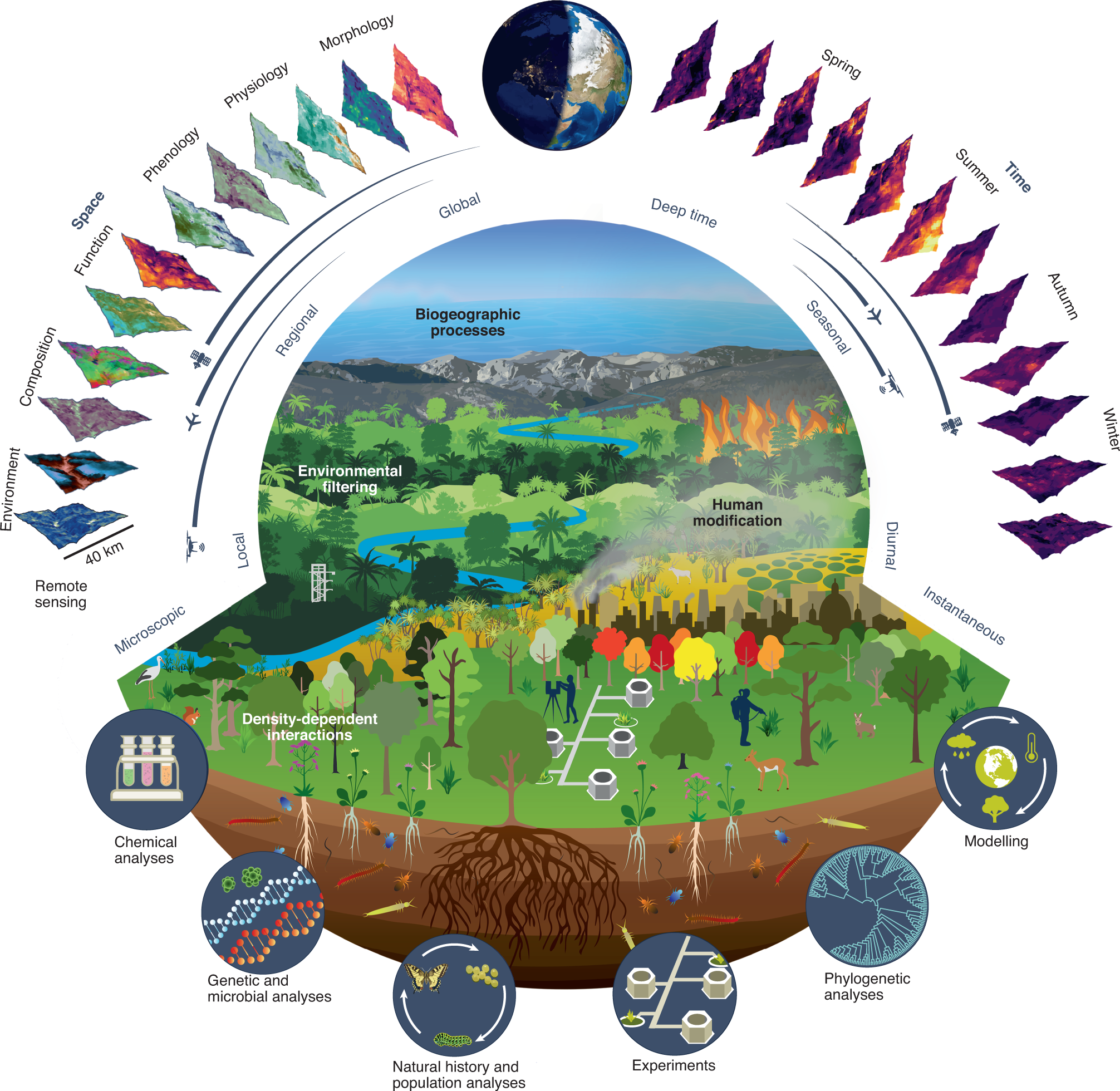 Integrating remote sensing with ecology and evolution to advance  biodiversity conservation | Nature Ecology & Evolution