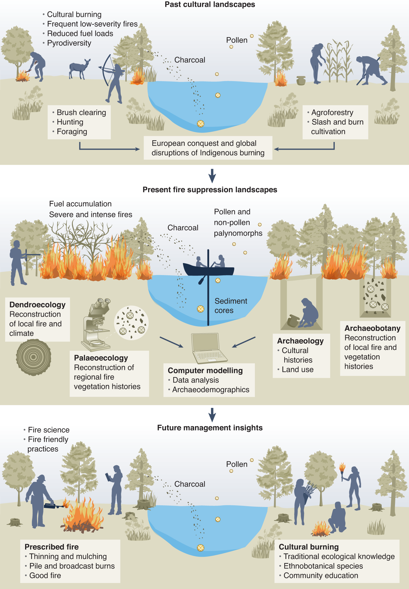 A collaborative agenda for archaeology and fire science | Nature Ecology &  Evolution
