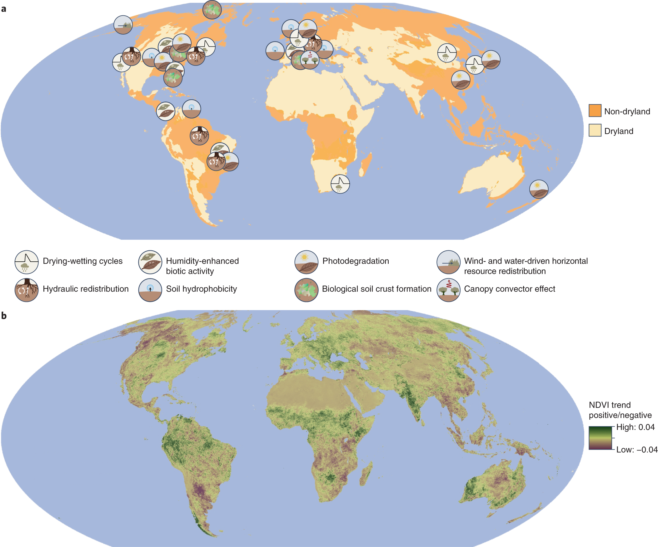 Dryland Mechanisms Could Widely Control Ecosystem Functioning In A Drier And Warmer World Nature Ecology Evolution
