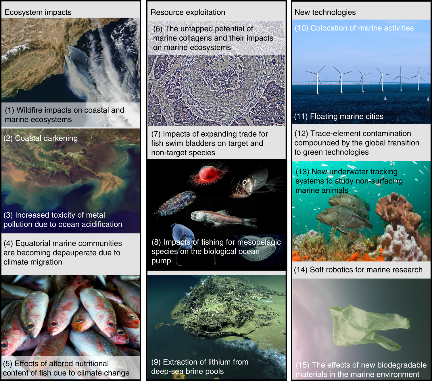 A global horizon scan of issues impacting marine and coastal biodiversity  conservation