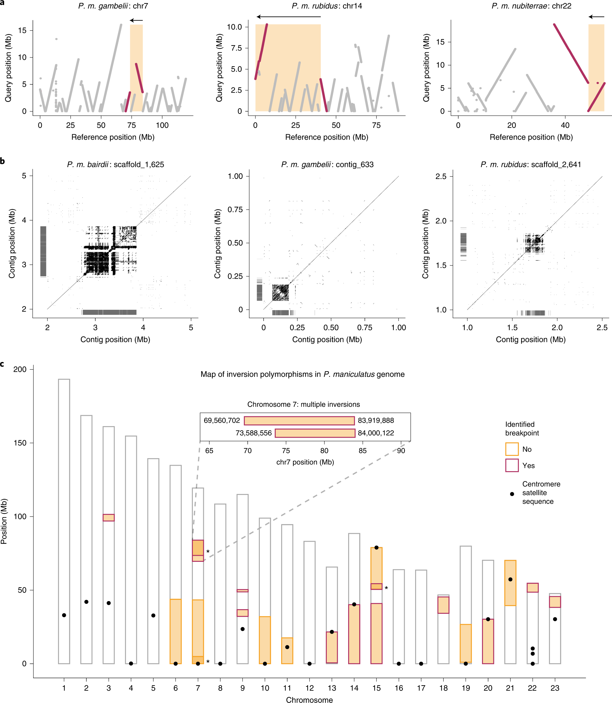 Fig. 2: Genome-wide map of inversions.