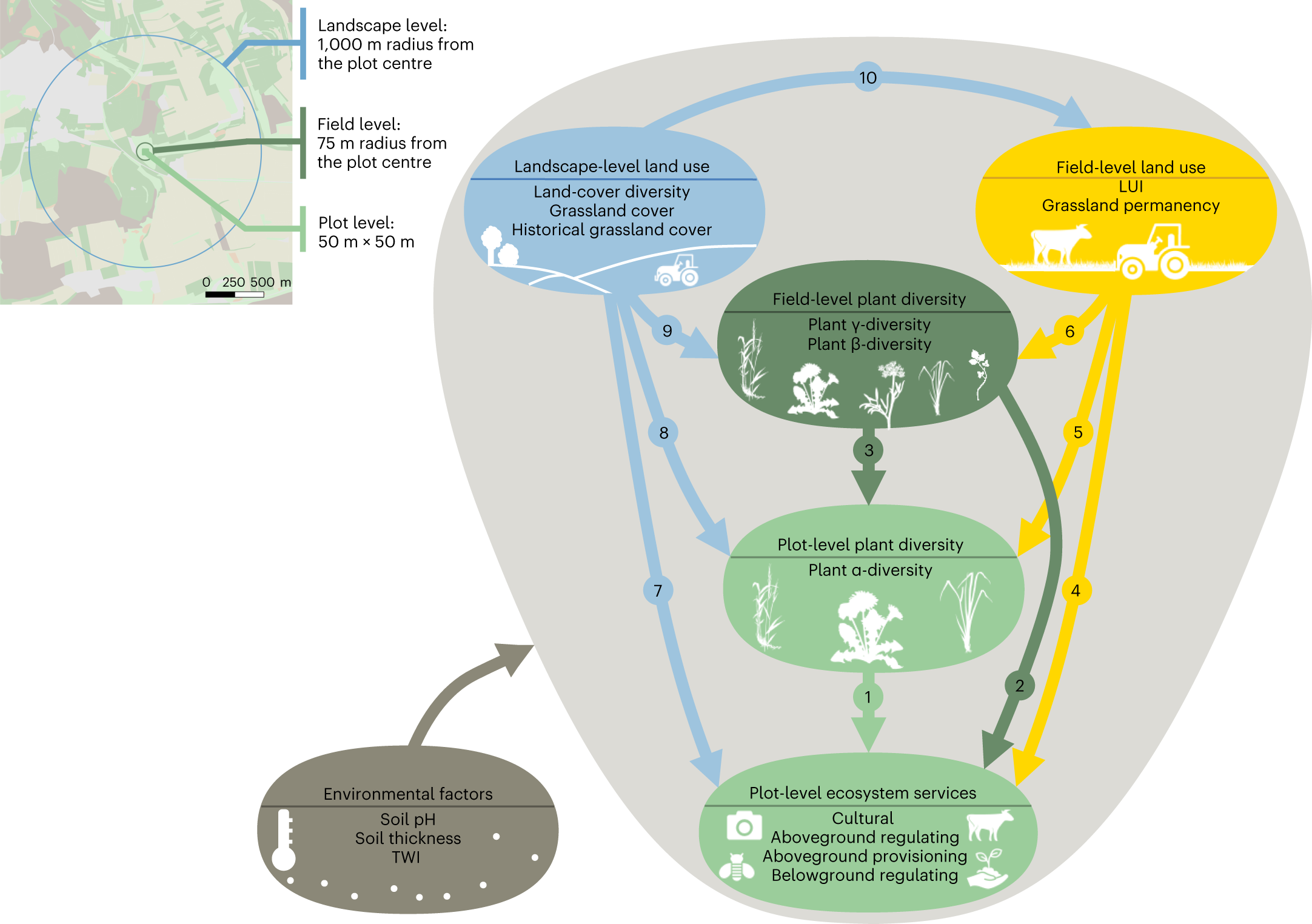 Relative amount of functional habitat and three services by planning