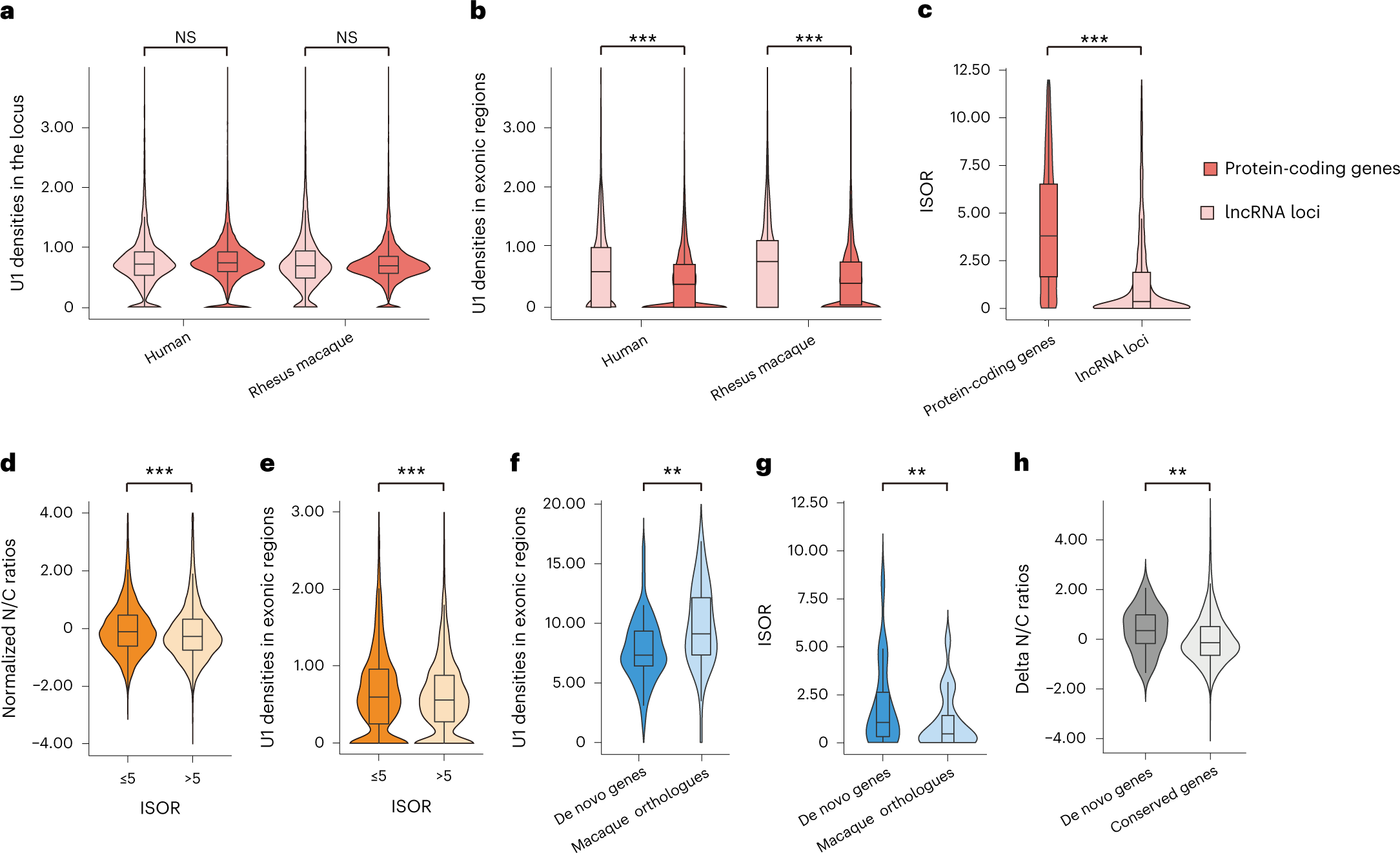 Fig. 2: Switching of key features during the origin of human de novo genes.