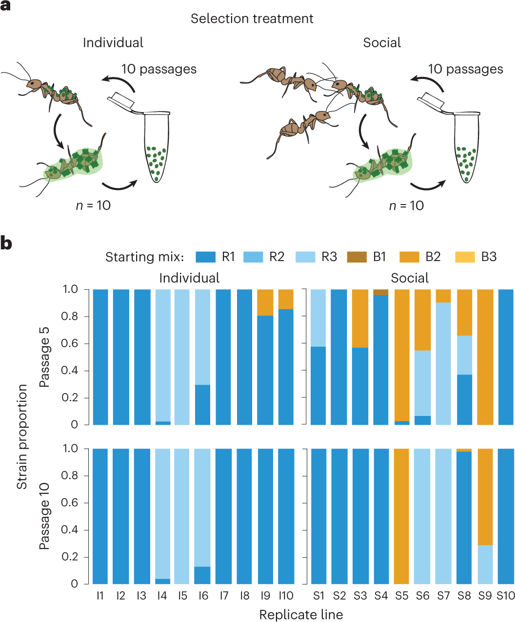 Pathogen evasion of social immunity | Nature Ecology & Evolution