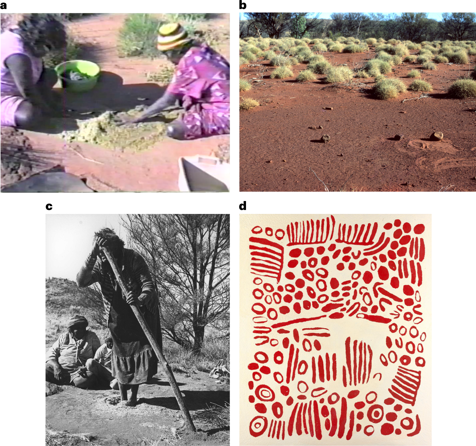 Fig. 2: Aboriginal women use pavements to thresh seed using different methods.