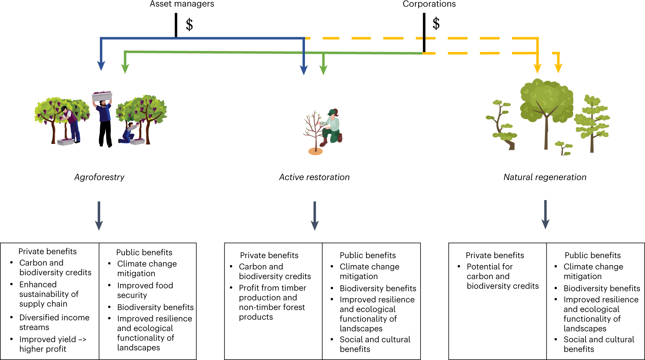 Why Many Funding Schemes Harm Rather Than Support Research Incentives and barriers to private finance for forest and landscape restoration | Nature Ecology & Evolution