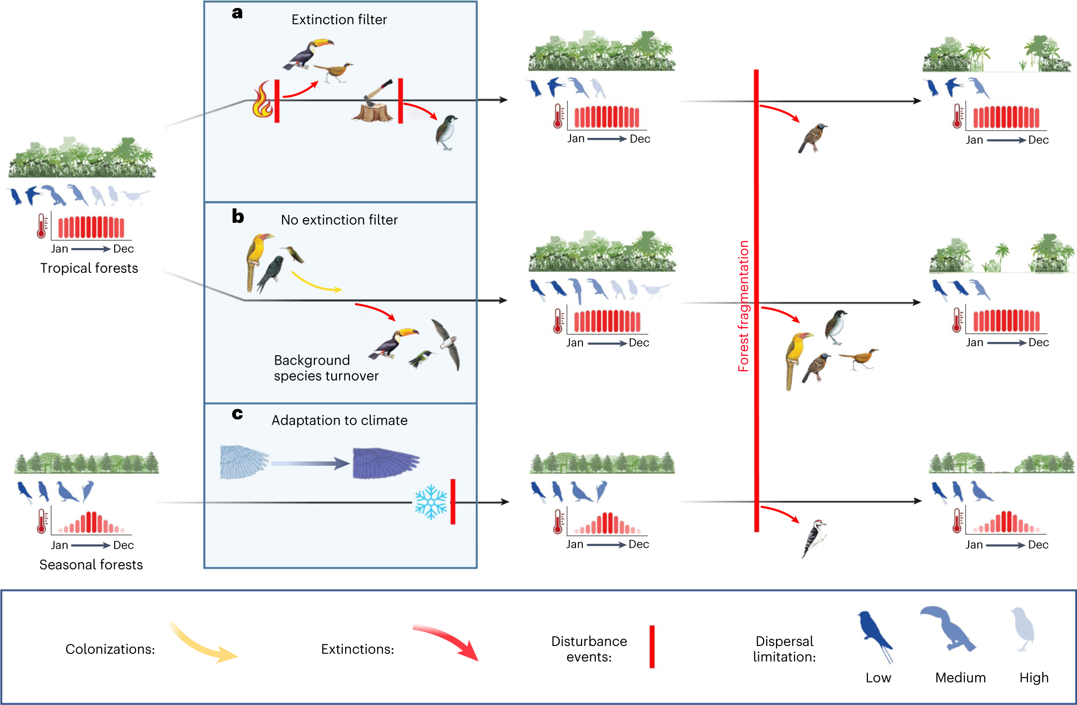 Origin Of Species Ch 65 Climate-driven variation in dispersal ability predicts responses to forest  fragmentation in birds | Nature Ecology & Evolution