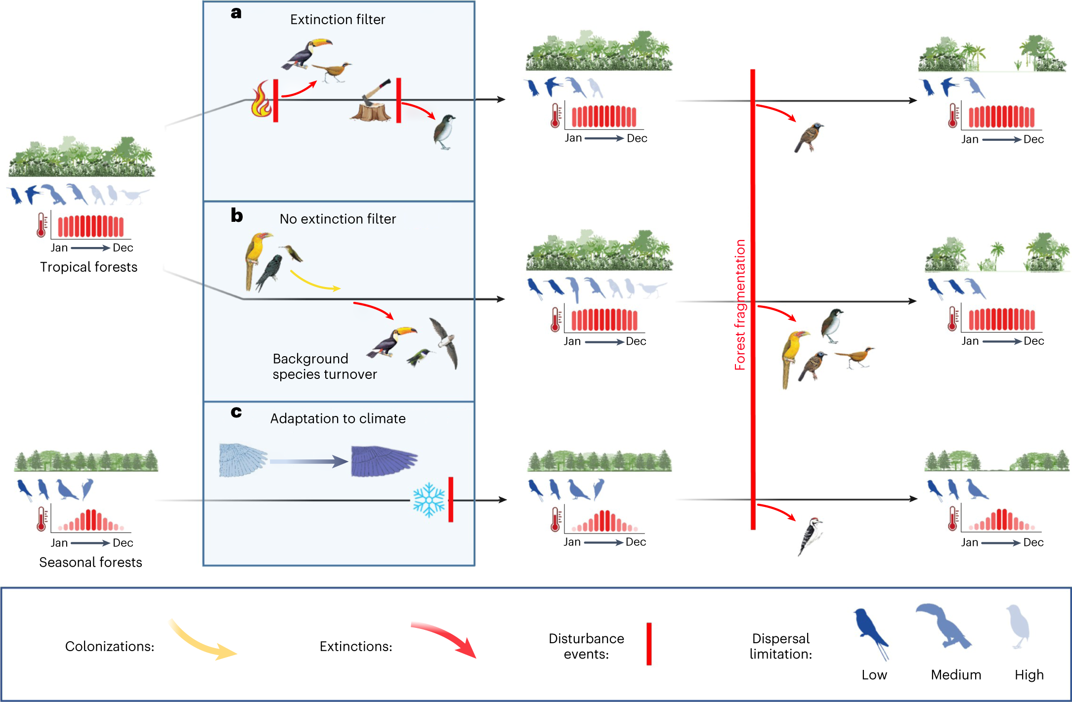 PDF) Bird species that occupy river edge in continuous forest tend to be  less sensitive to forest fragmentation