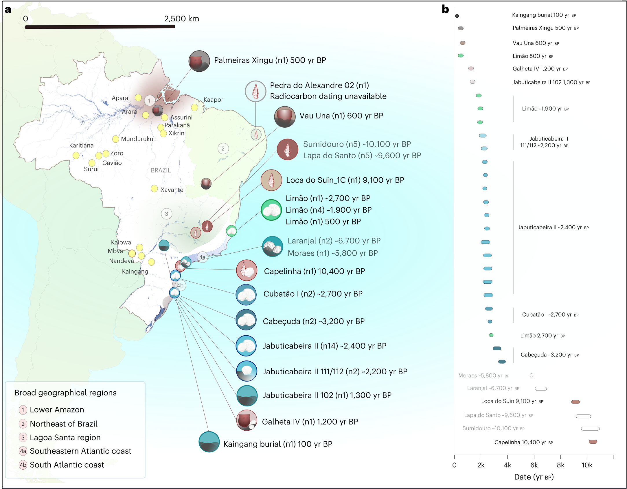 Brazil, History, Map, Culture, Population, & Facts