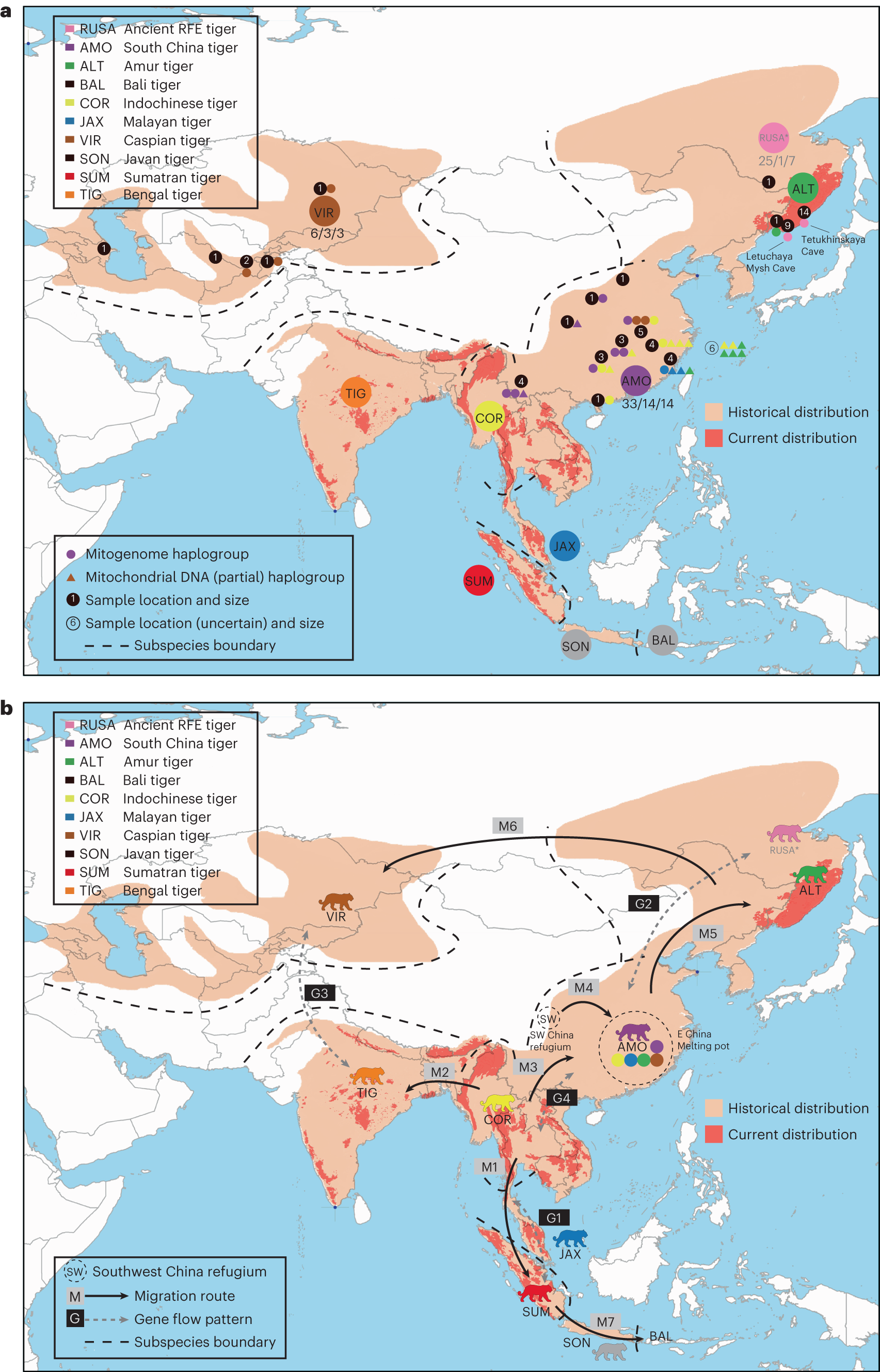 Ancient DNA reveals genetic admixture in China during tiger evolution Nature Ecology and Evolution pic