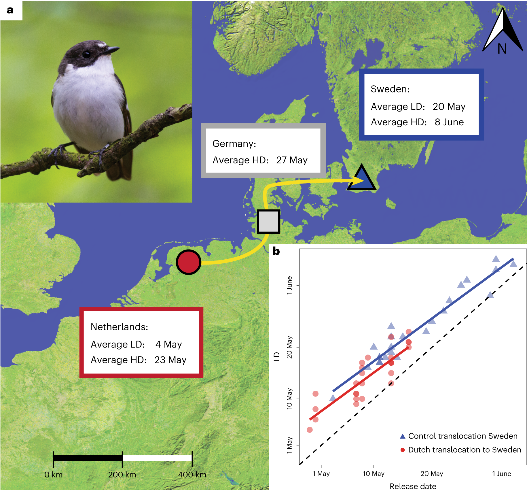 Adaptation to climate change through dispersal and inherited timing in an  avian migrant | Nature Ecology & Evolution