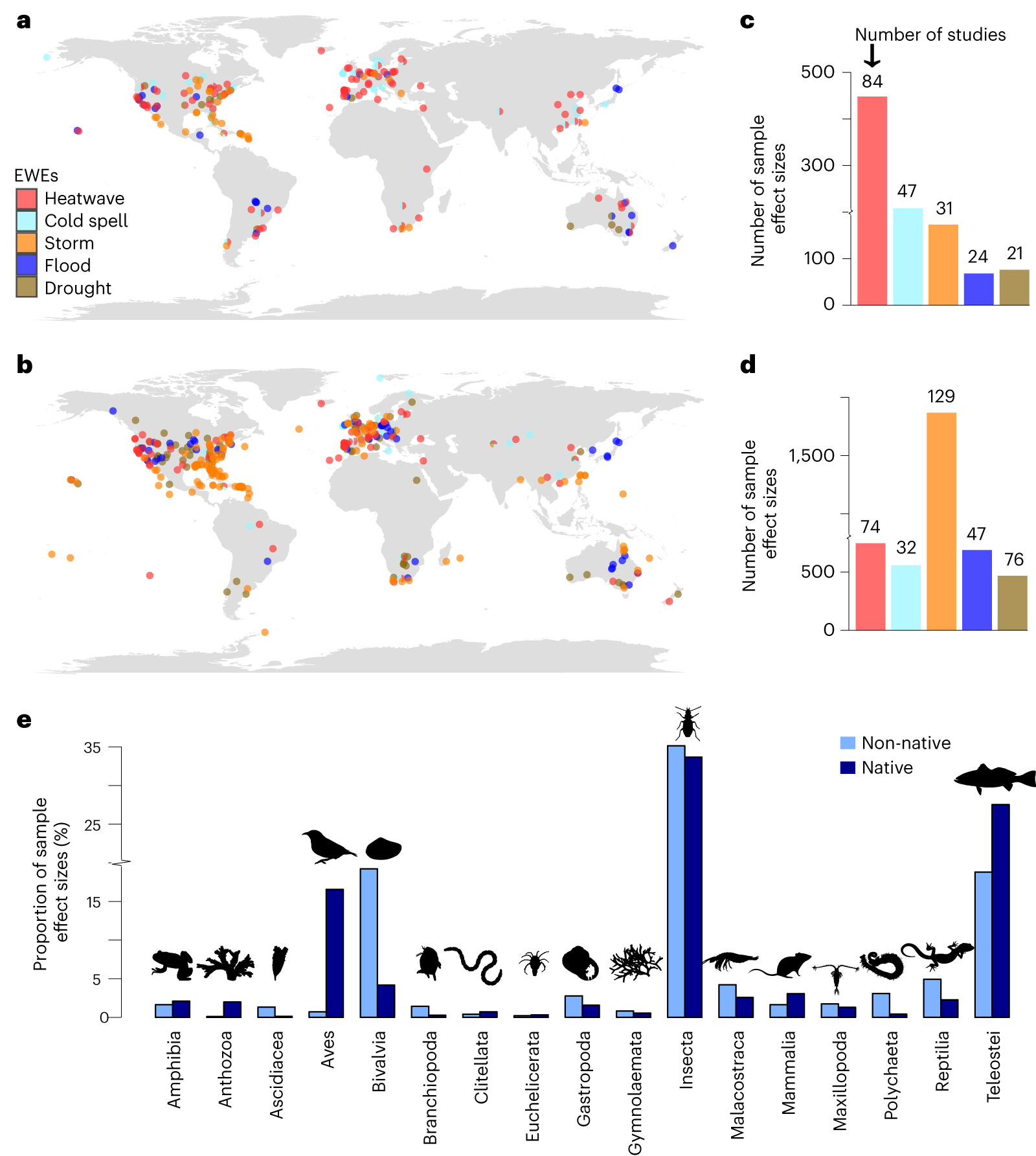 Meta-analysis reveals less sensitivity of non-native animals than natives  to extreme weather worldwide | Nature Ecology & Evolution