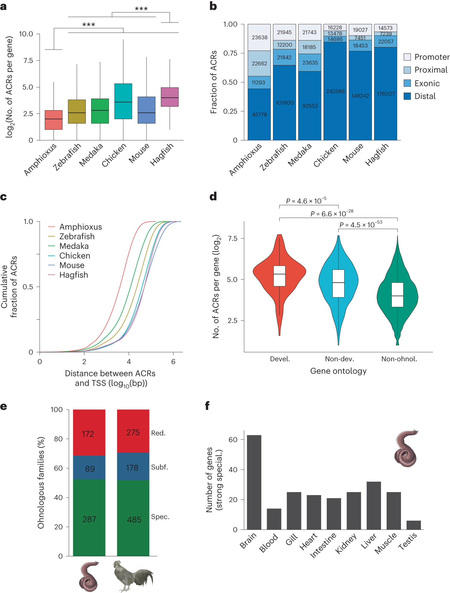 Fig. 5: Impact of WGD events on the regulatory genome.