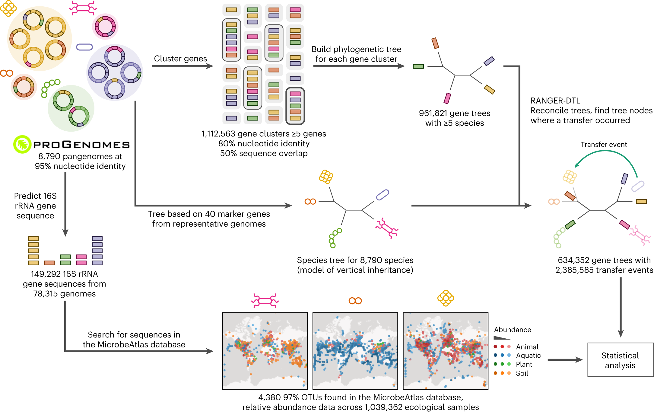 A global survey of prokaryotic genomes reveals the eco 