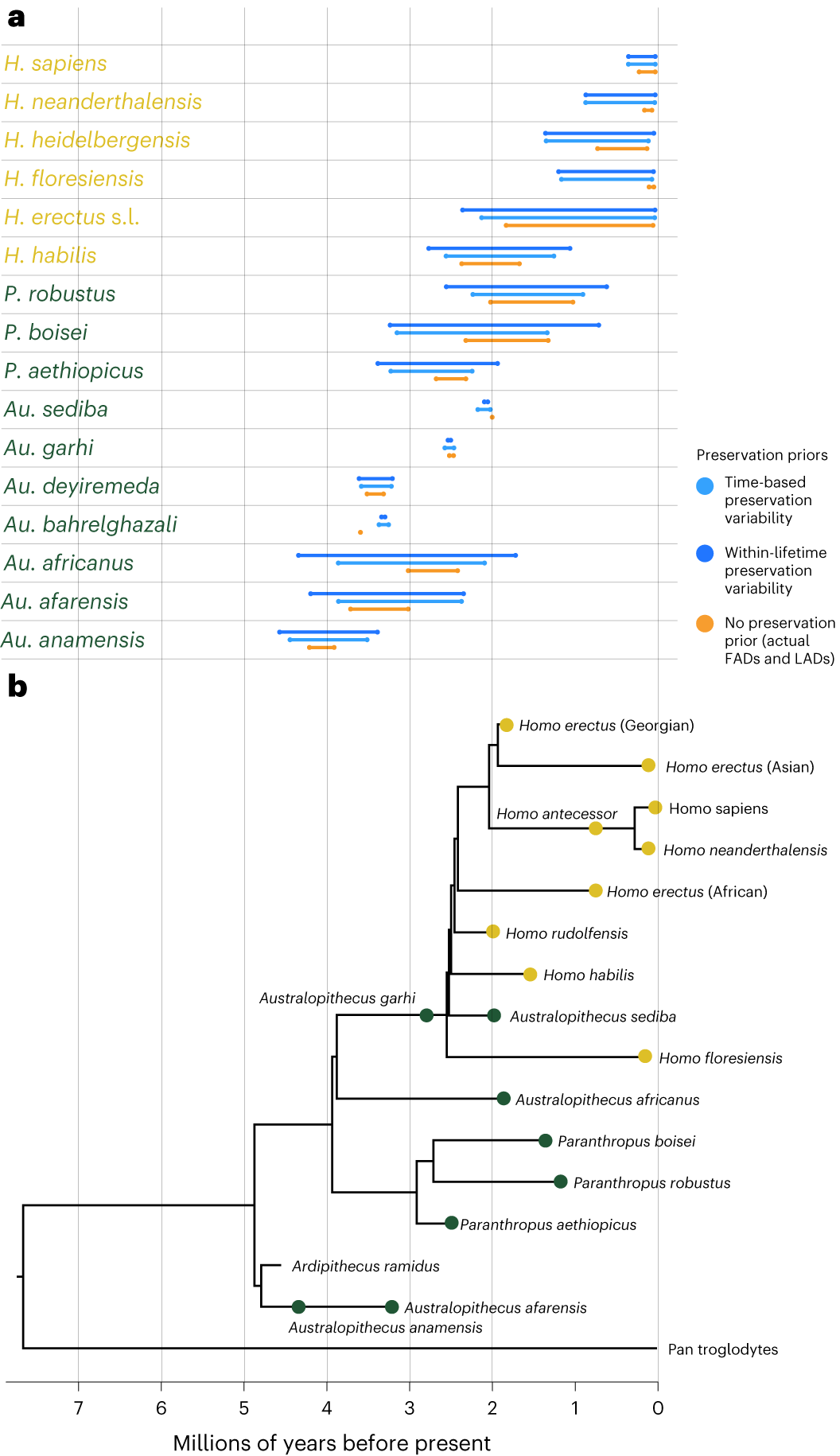 div1, image size:1056x1830